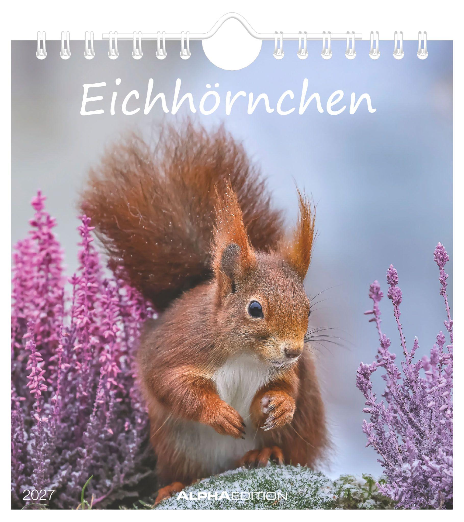 Vorderes Coverbild Eichhörnchen 2027