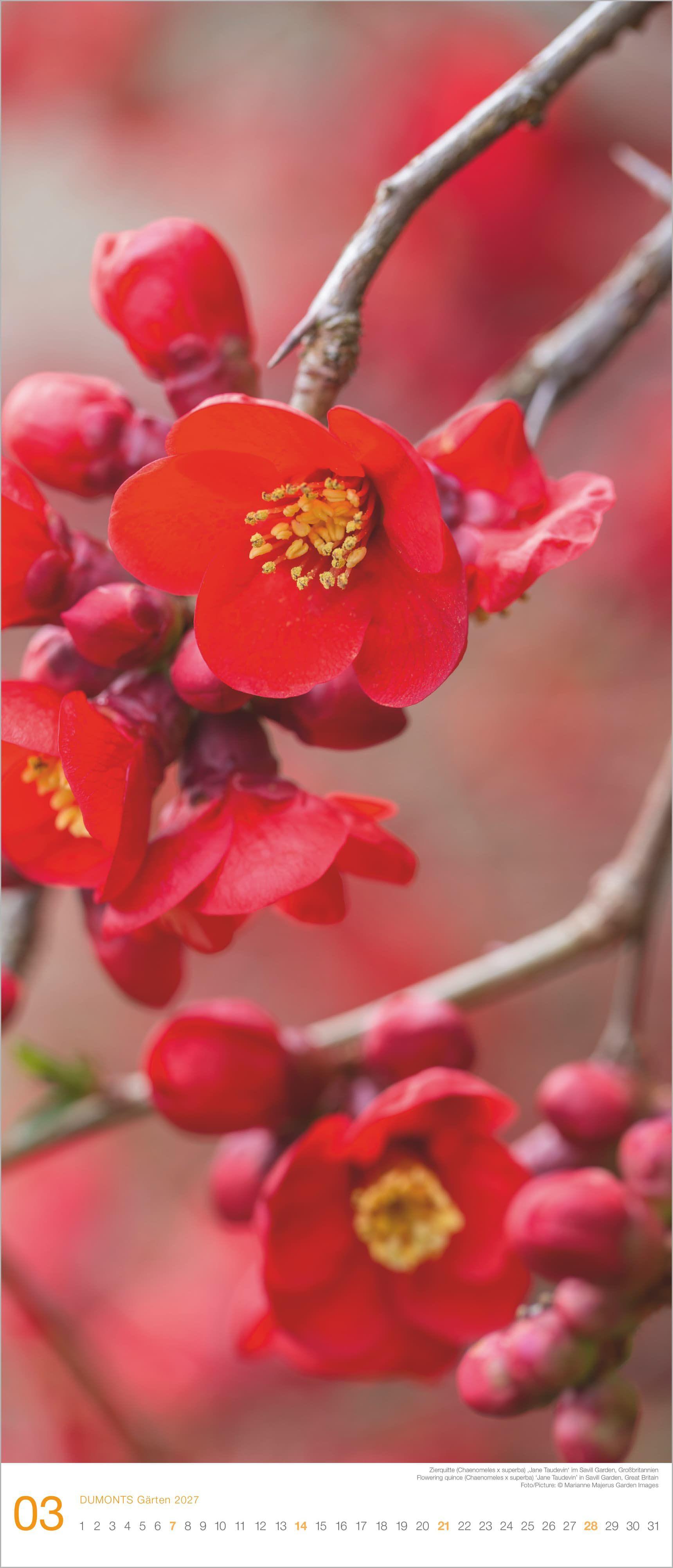 Beispielinhalt (Bild) Gärten 2027