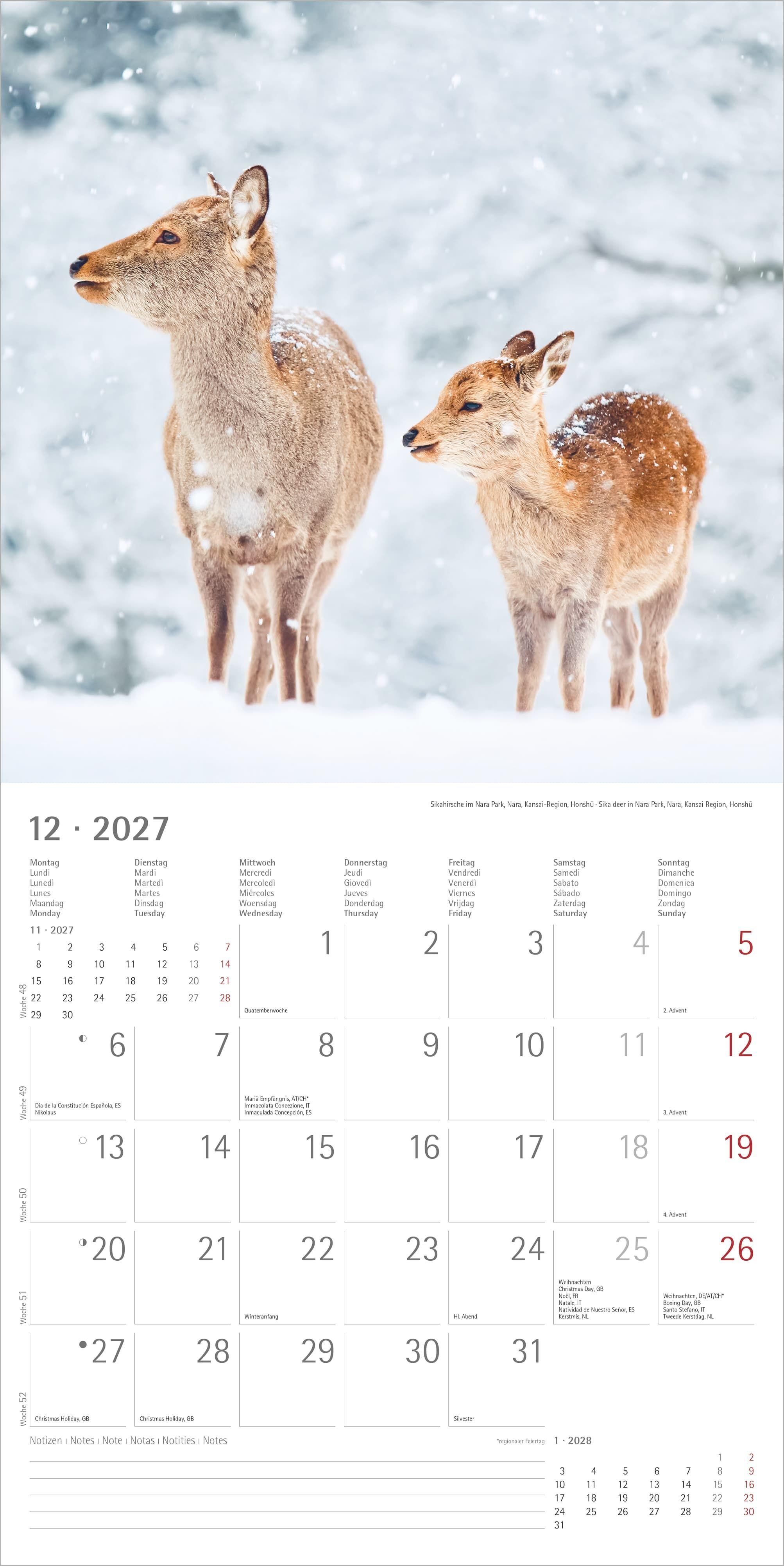 Beispielinhalt (Bild) Japan 2027