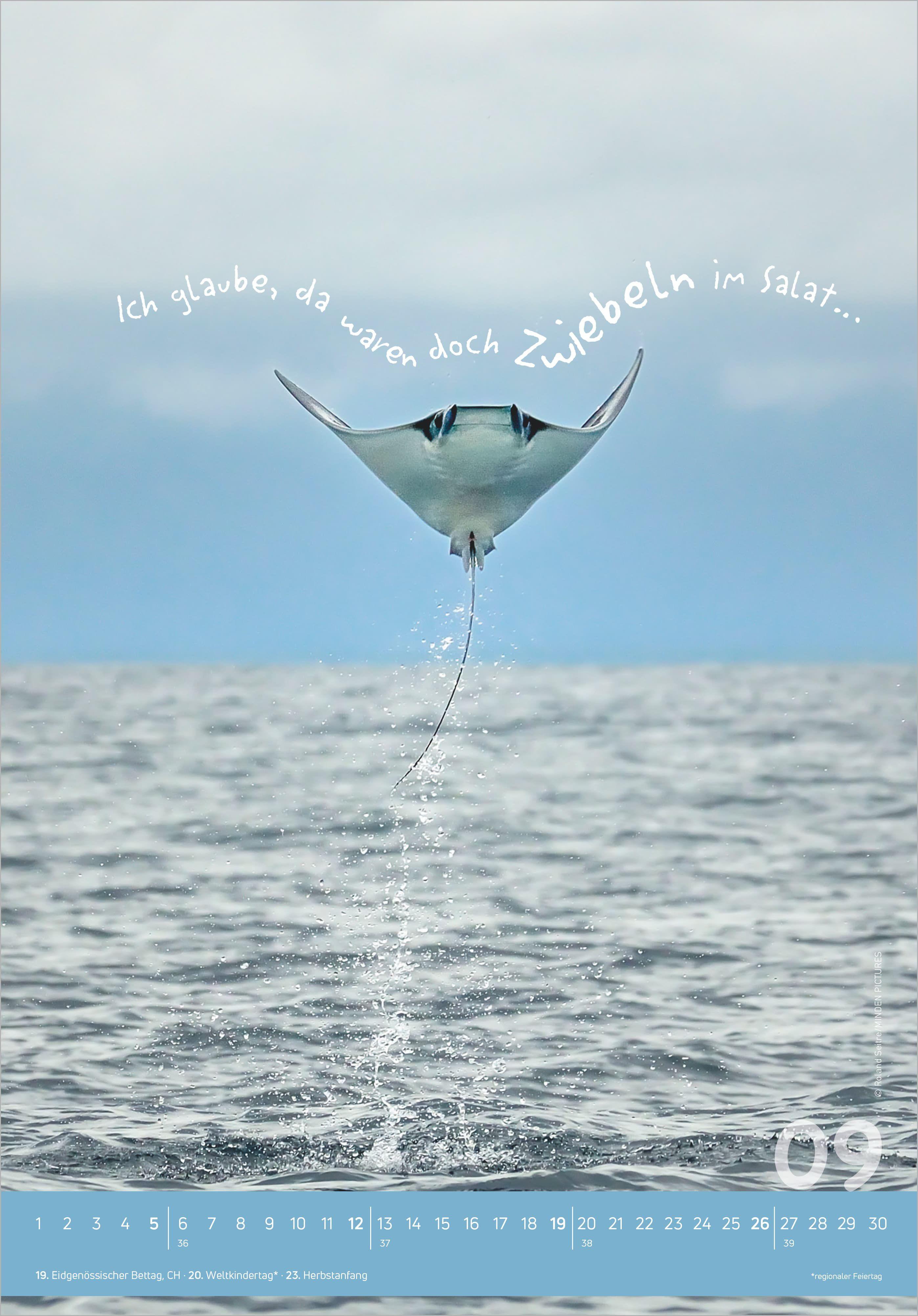 Beispielinhalt (Bild) Tierisch cool! 2027