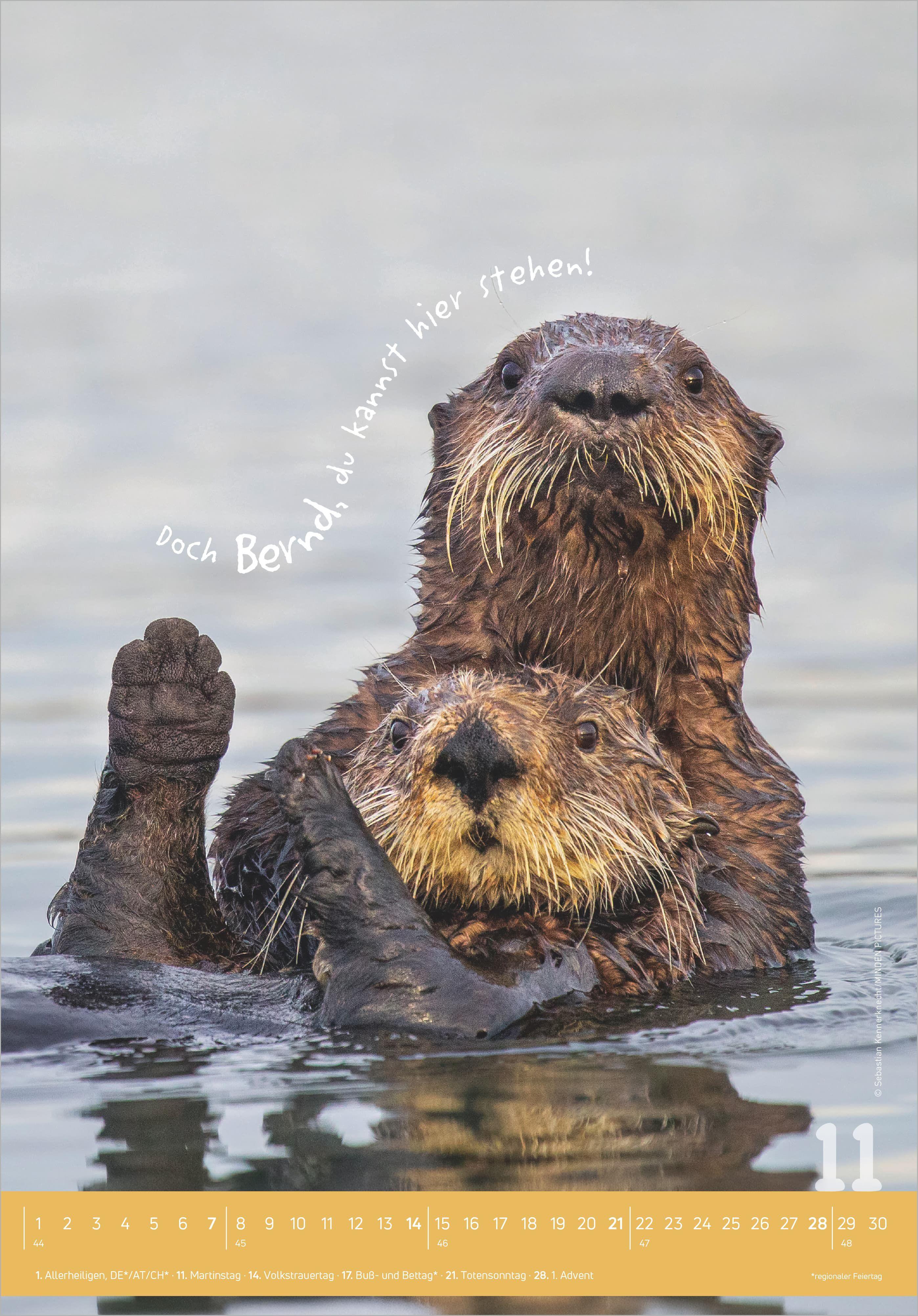 Beispielinhalt (Bild) Tierisch cool! 2027