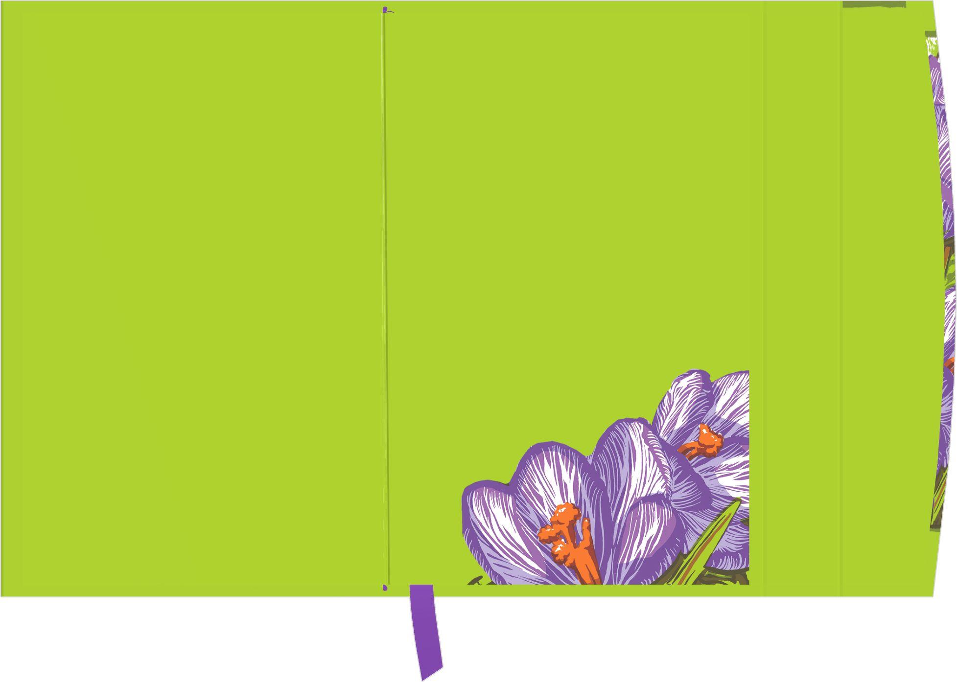 Beispielinhalt (Bild) Kat Menschik - Flowers - Crocus 2027