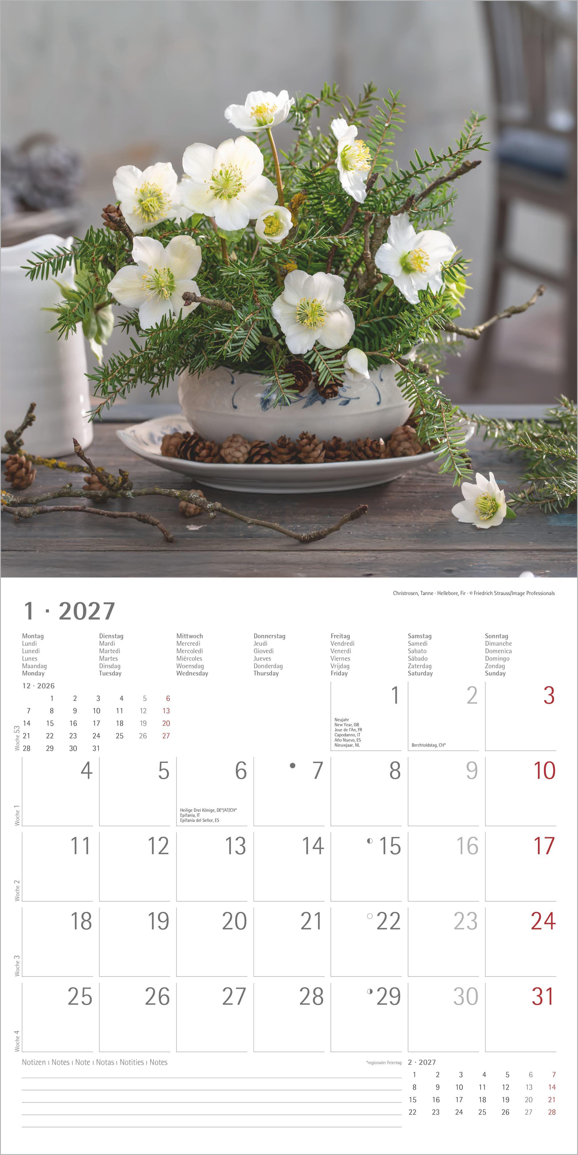 Beispielinhalt (Bild) Blumenträume 2027