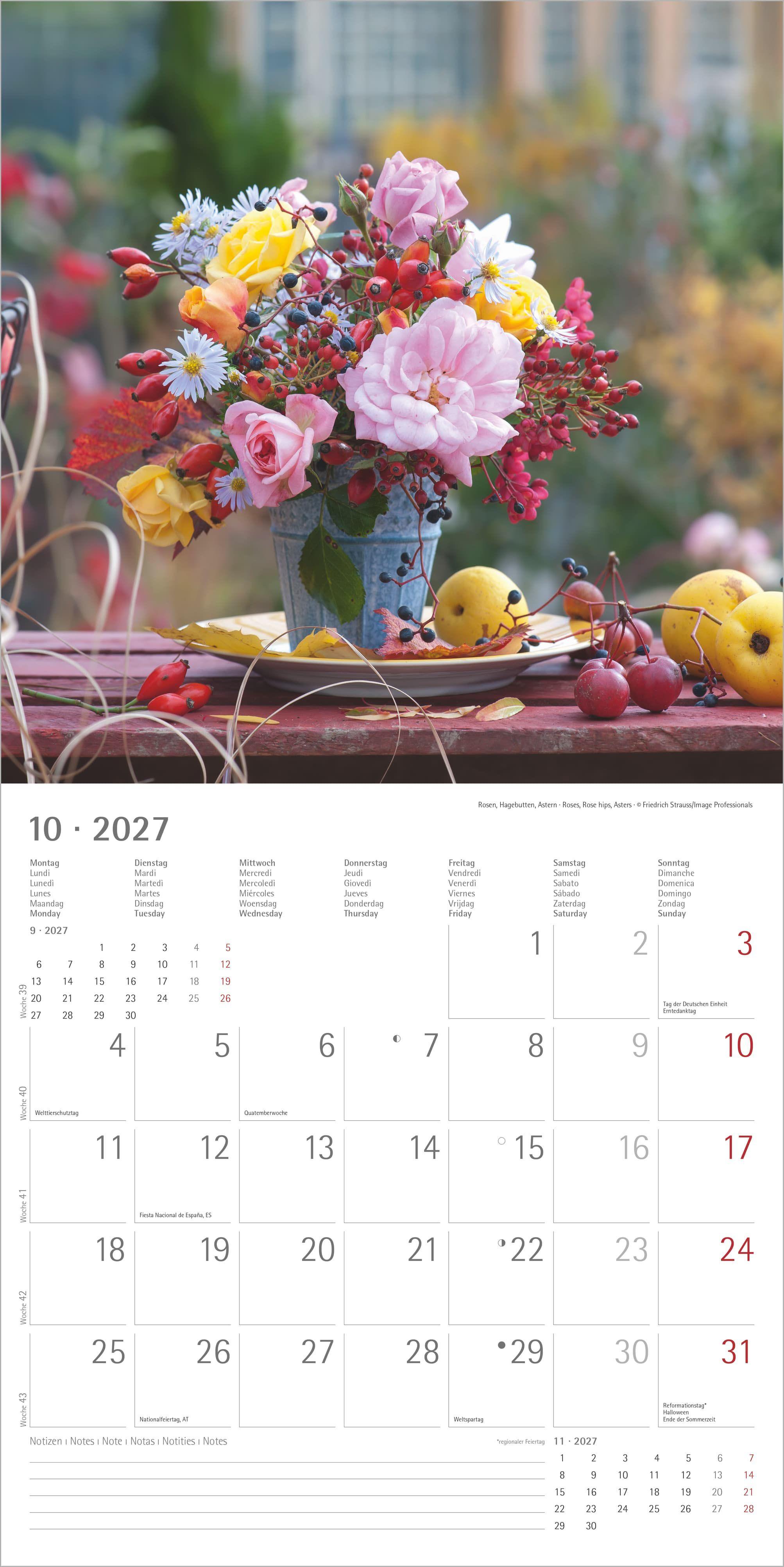 Beispielinhalt (Bild) Blumenträume 2027