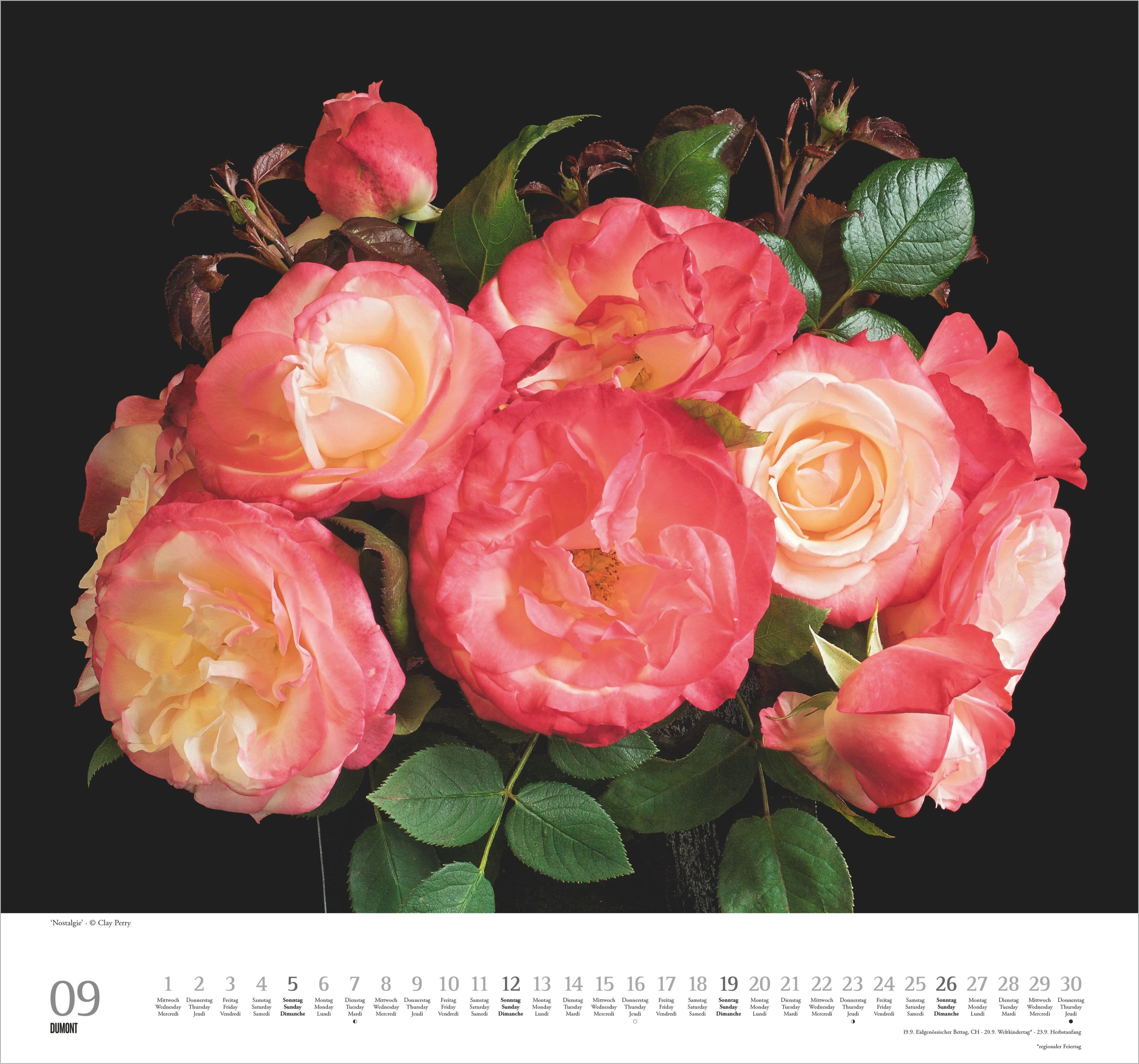 Beispielinhalt (Bild) Geliebte Rosen 2027