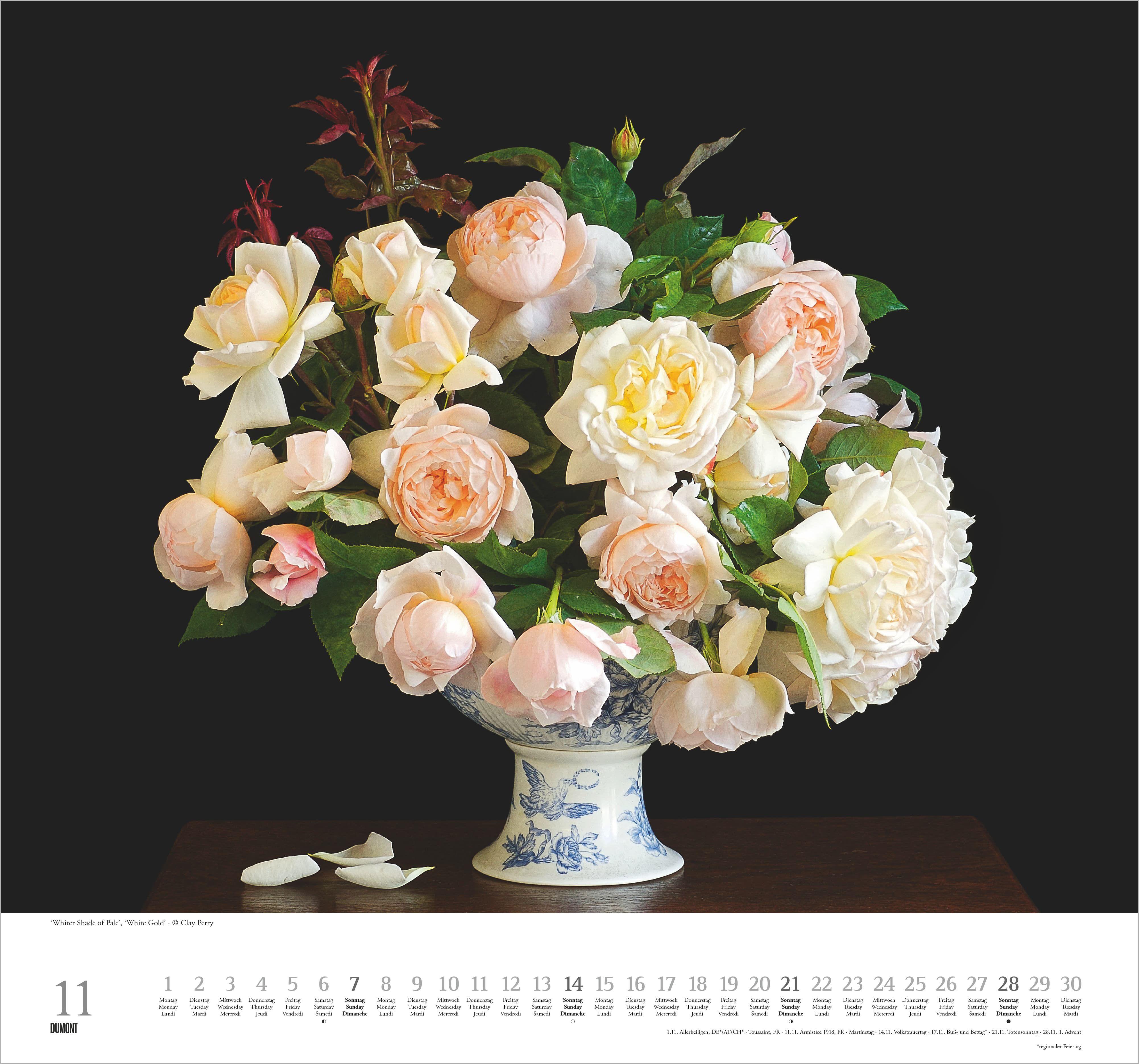 Beispielinhalt (Bild) Geliebte Rosen 2027