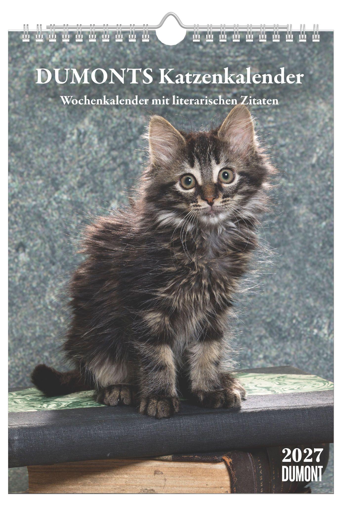 Vorderes Coverbild DUMONTS Katzenkalender 2027