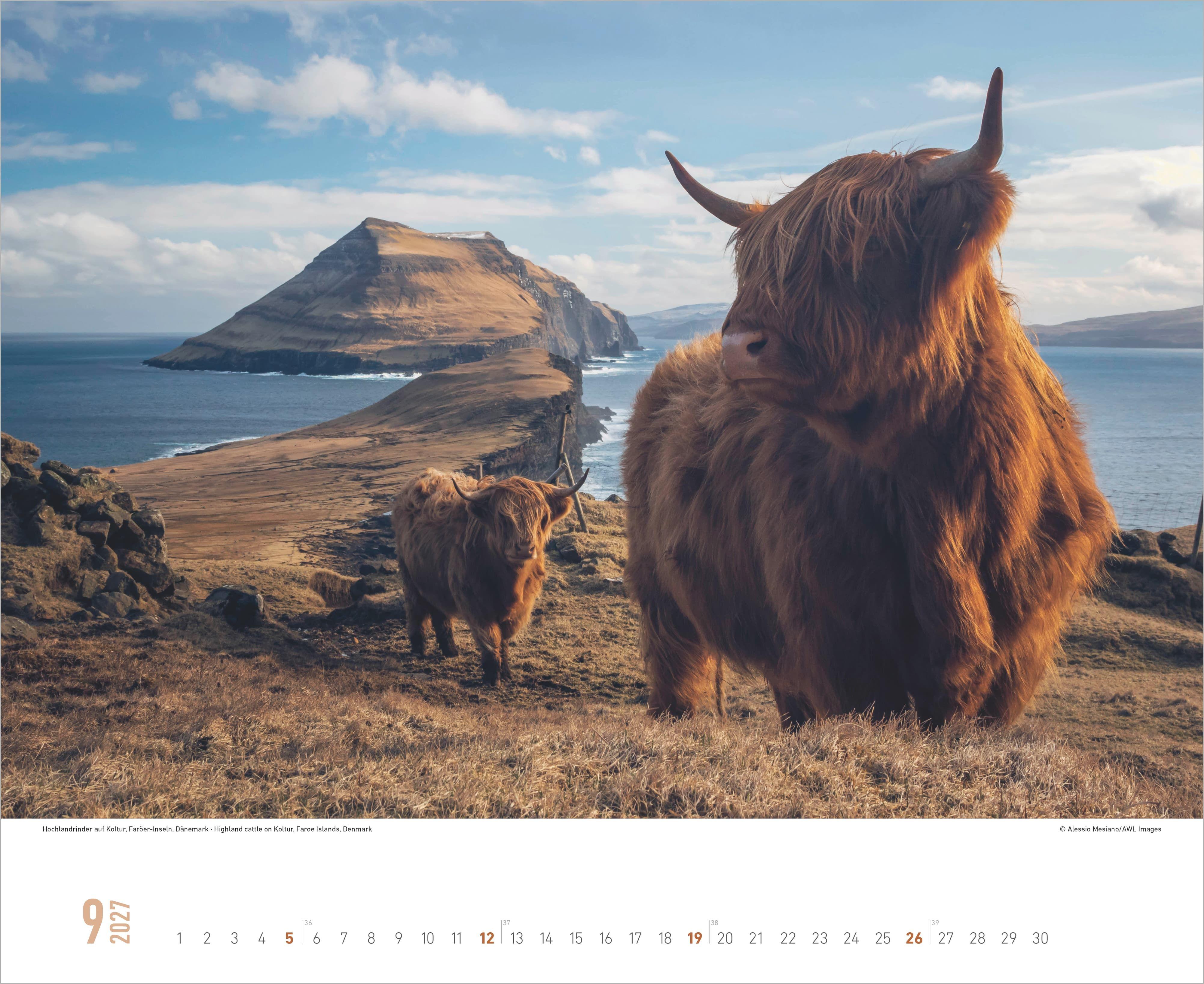 Beispielinhalt (Bild) Nordische Impressionen 2027