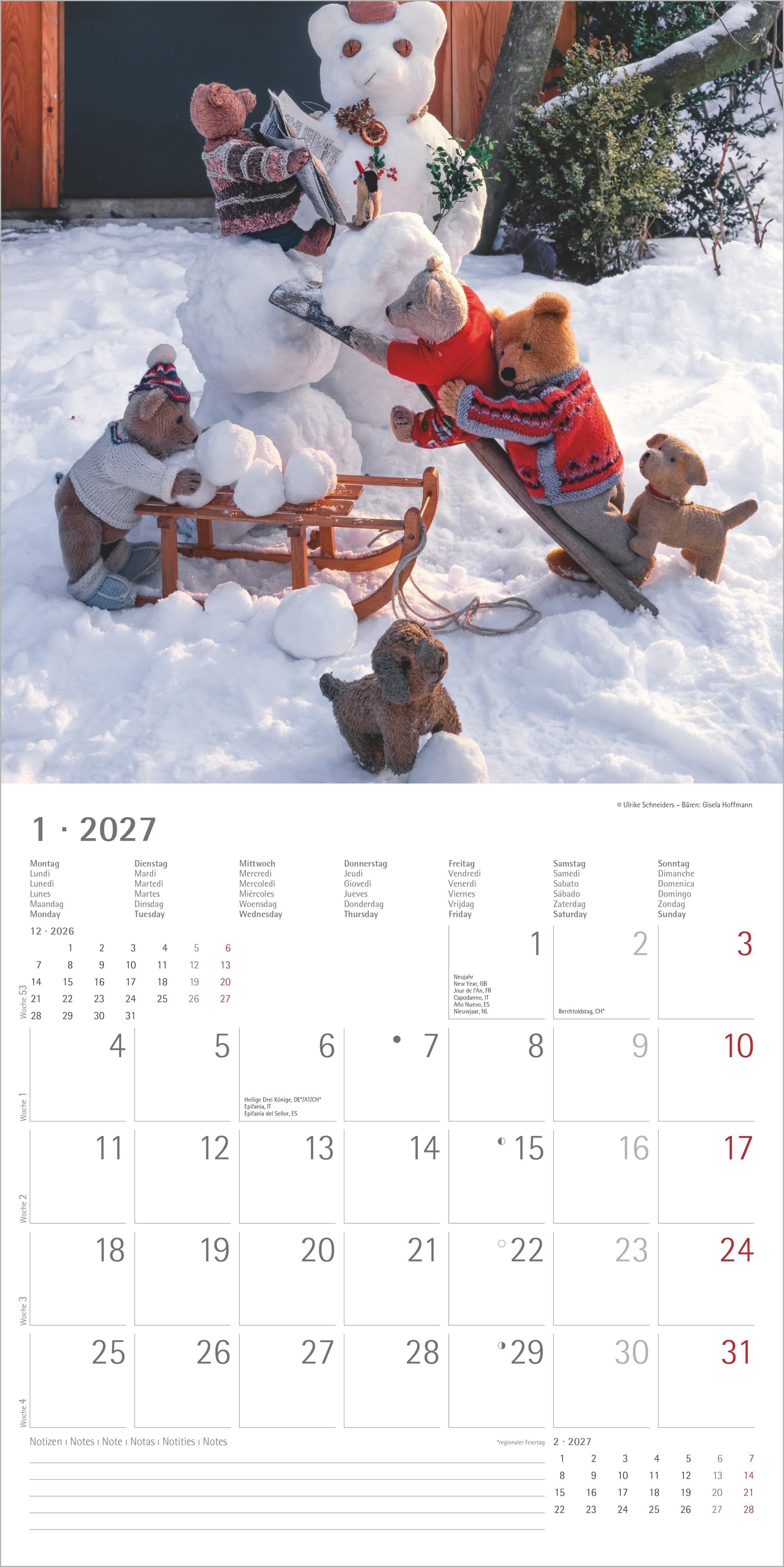 Beispielinhalt (Bild) Teddy 2027