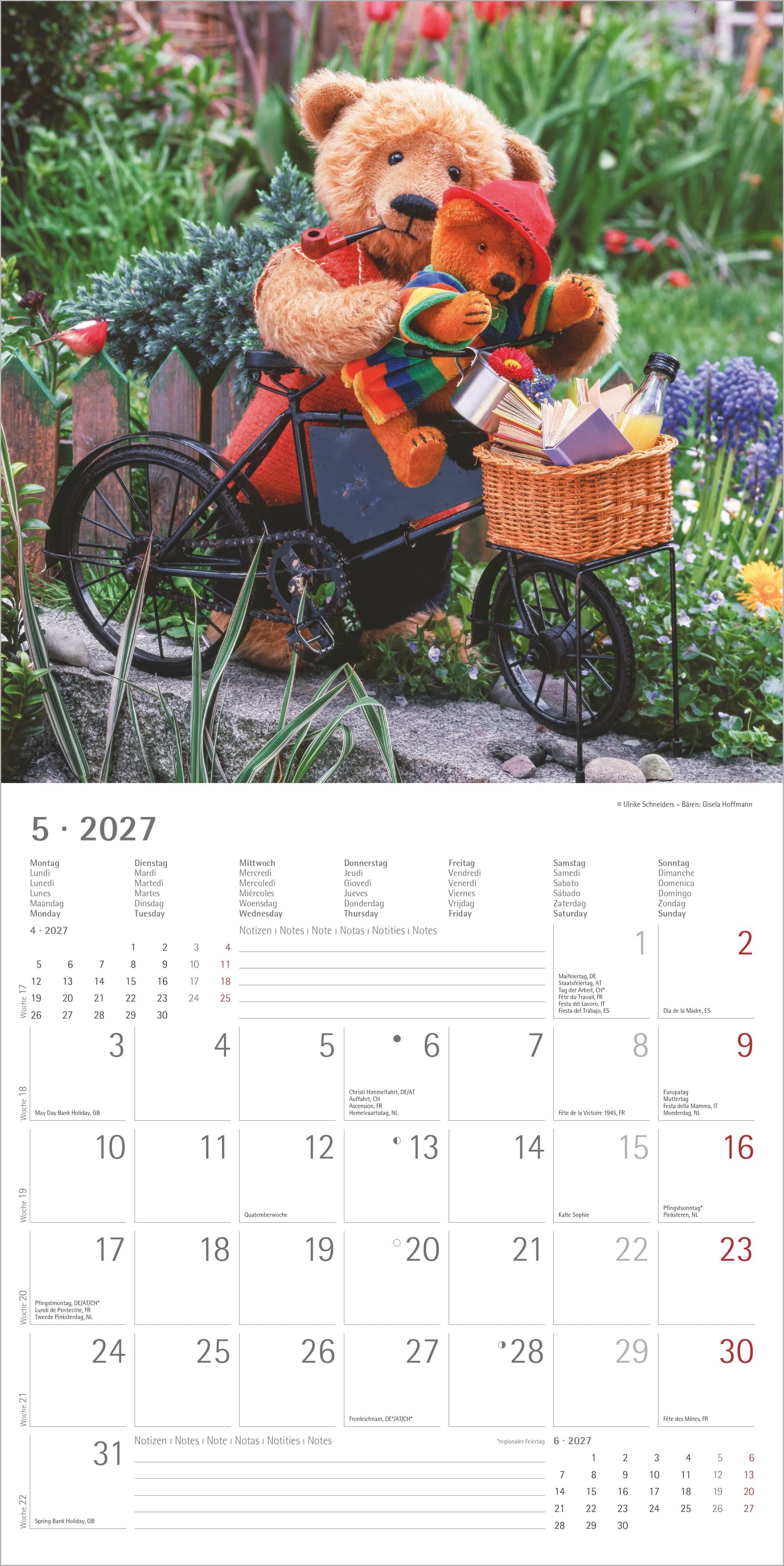 Beispielinhalt (Bild) Teddy 2027