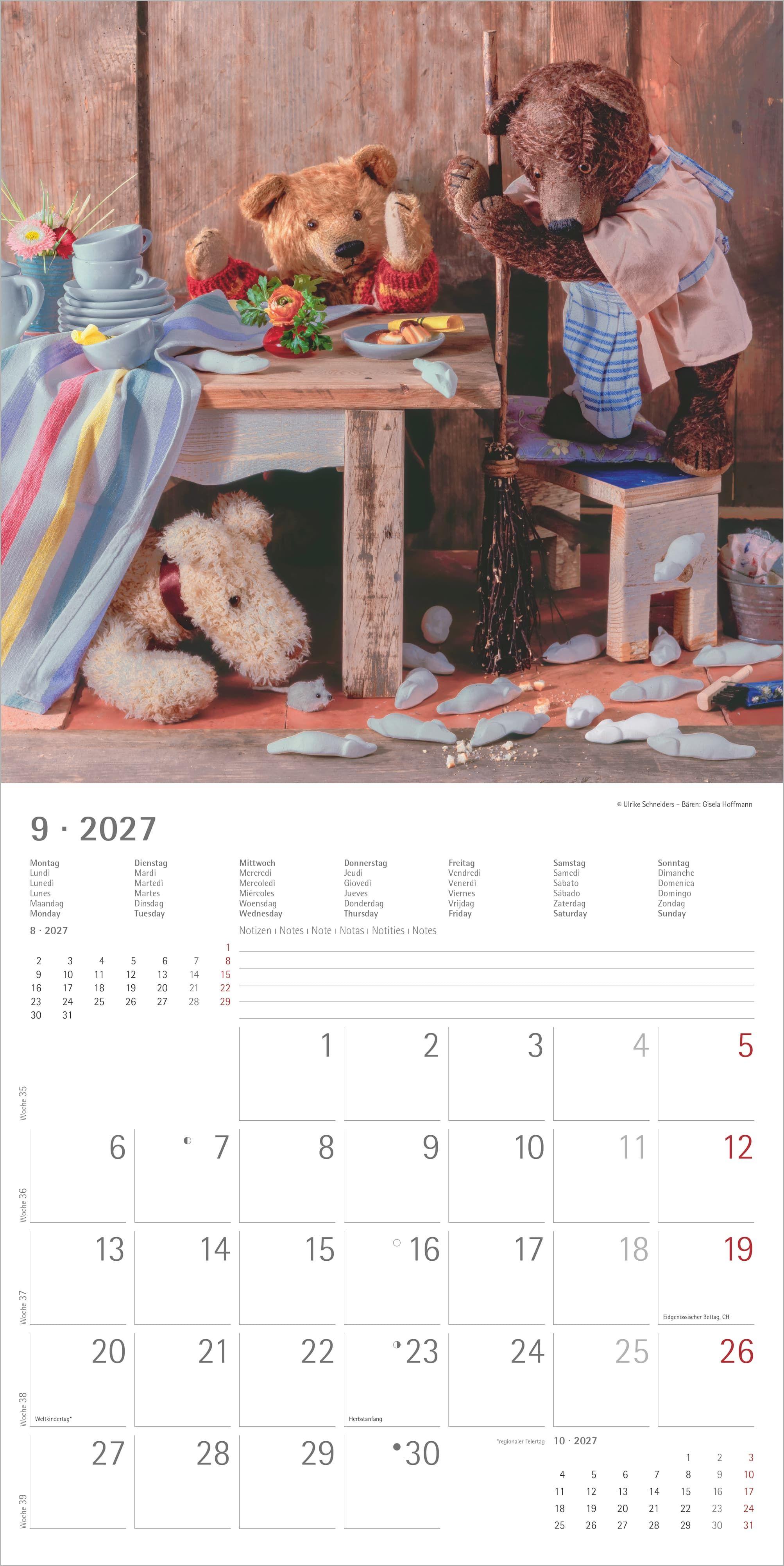 Beispielinhalt (Bild) Teddy 2027