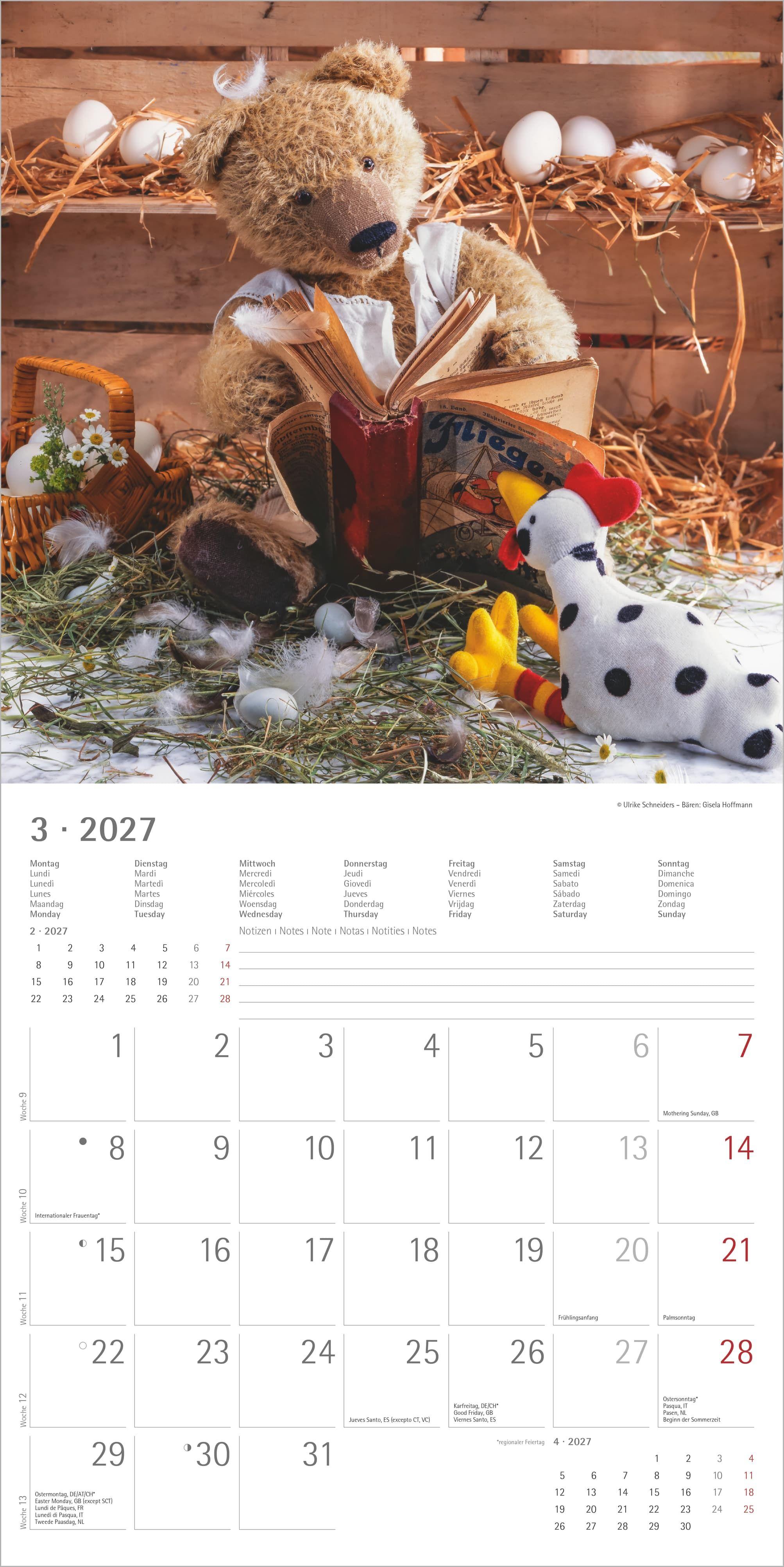 Beispielinhalt (Bild) Teddy 2027