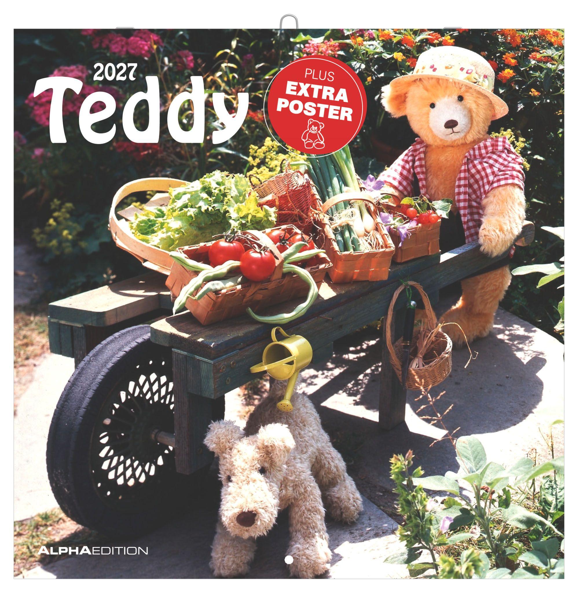 Vorderes Coverbild Teddy 2027