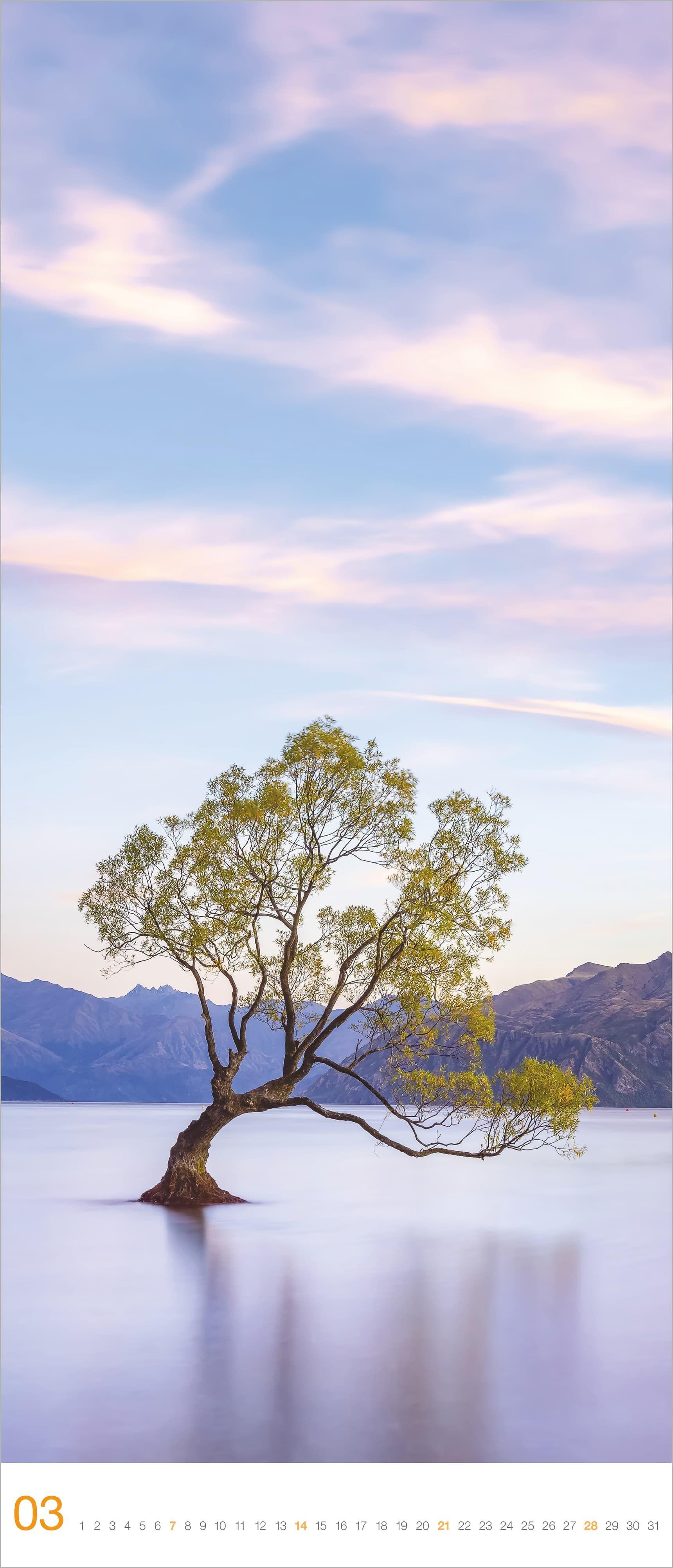 Beispielinhalt (Bild) Bäume 2027