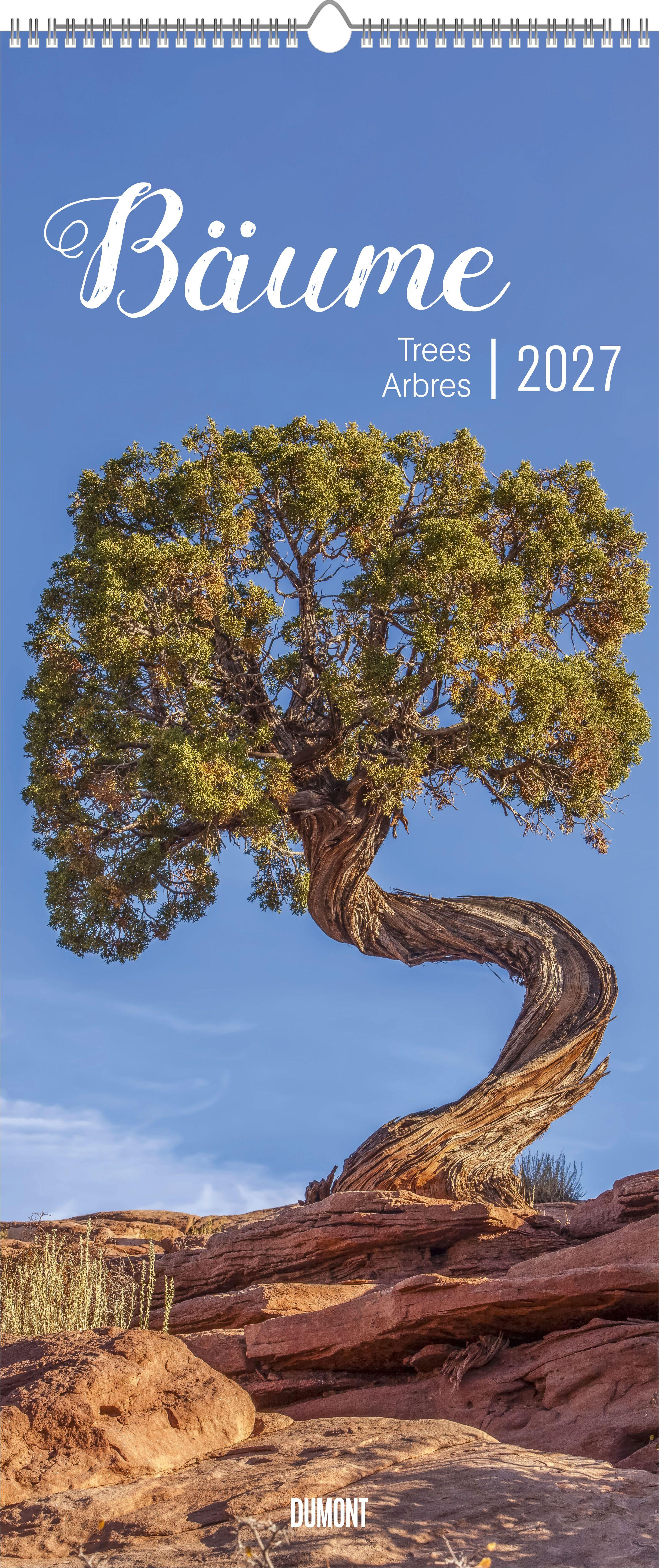 Vorderes Coverbild Bäume 2027