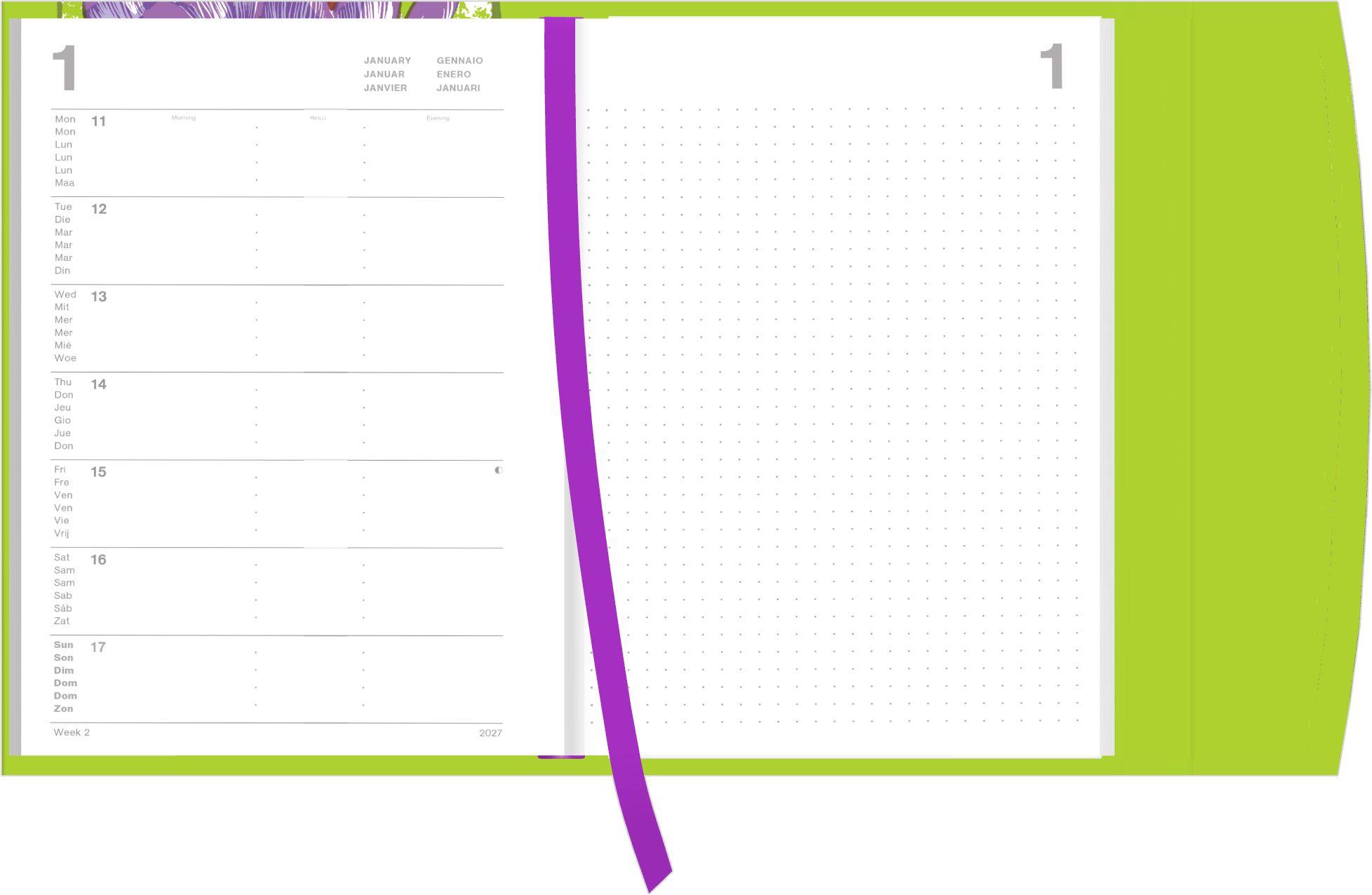 Beispielinhalt (Bild) Kat Menschik - Flowers - Crocus 2027