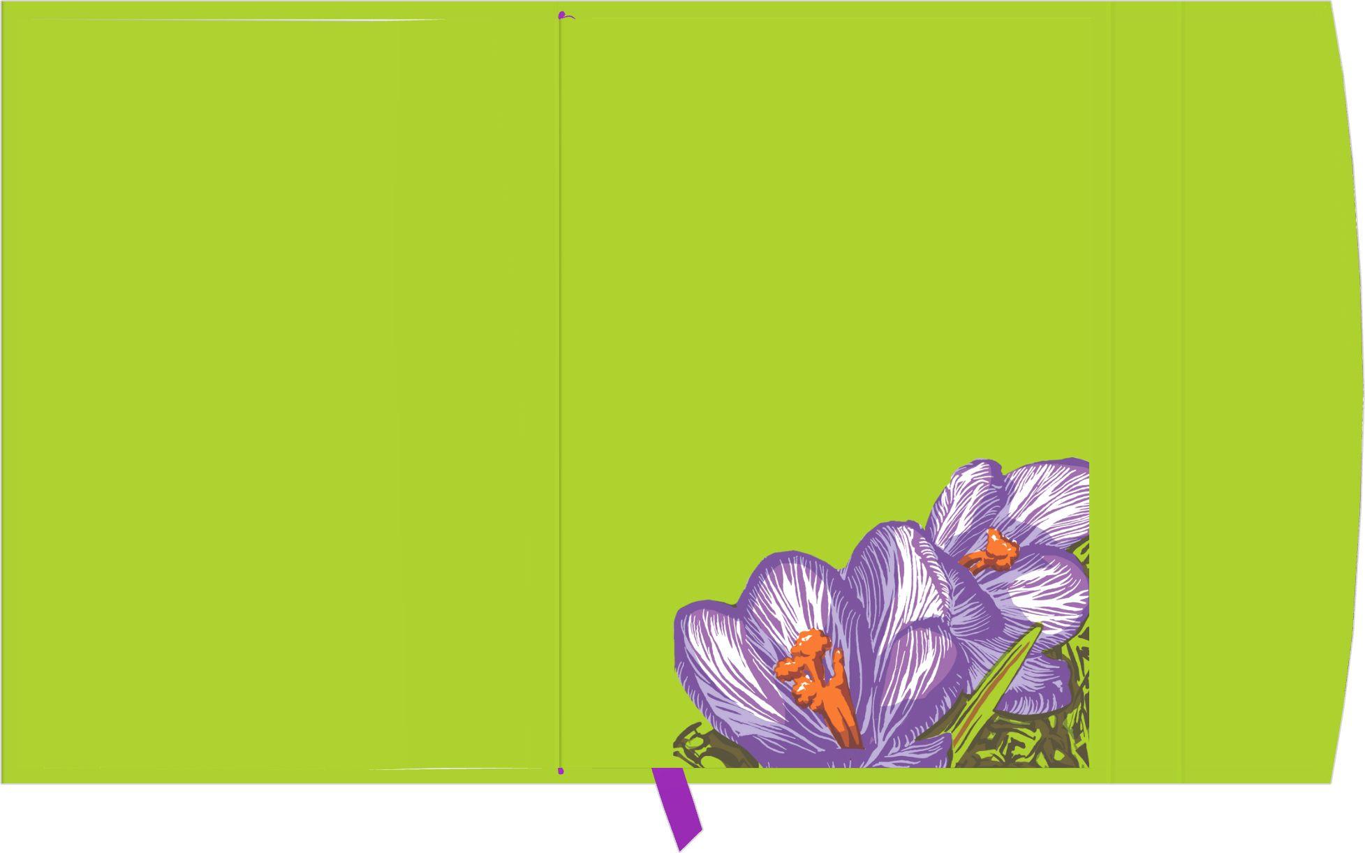 Beispielinhalt (Bild) Kat Menschik - Flowers - Crocus 2027