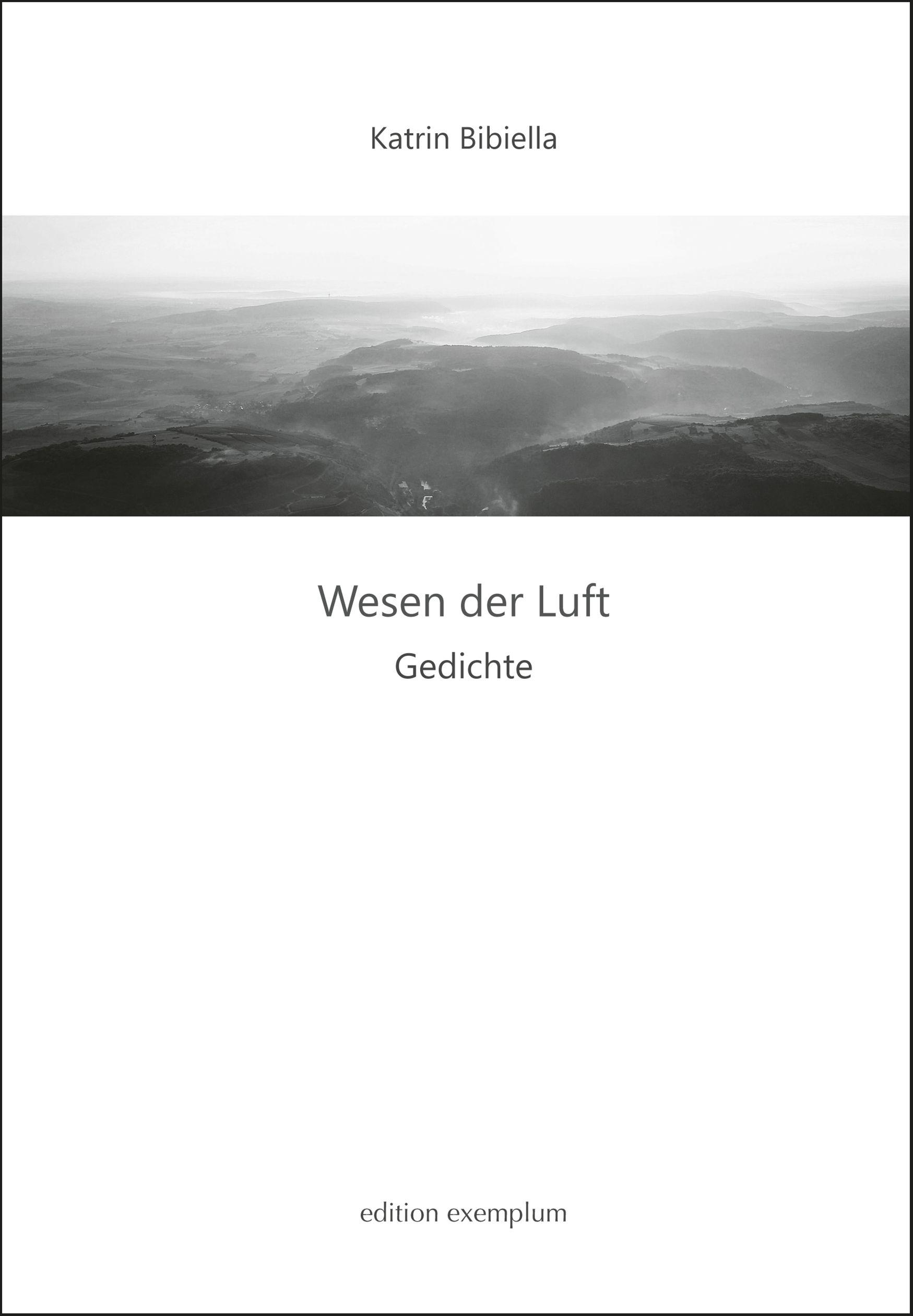 Vorderes Coverbild Wesen der Luft