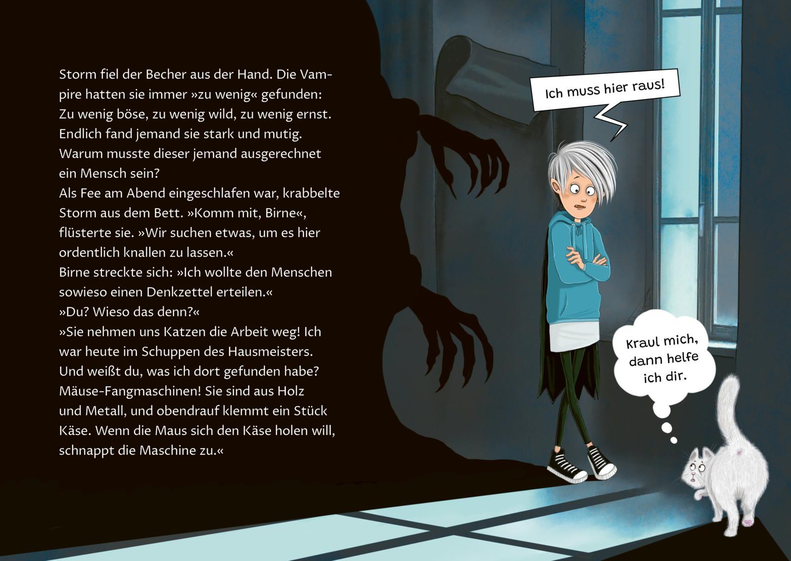 Beispielinhalt (Bild) Storm 1: Das Internat des Gruselns