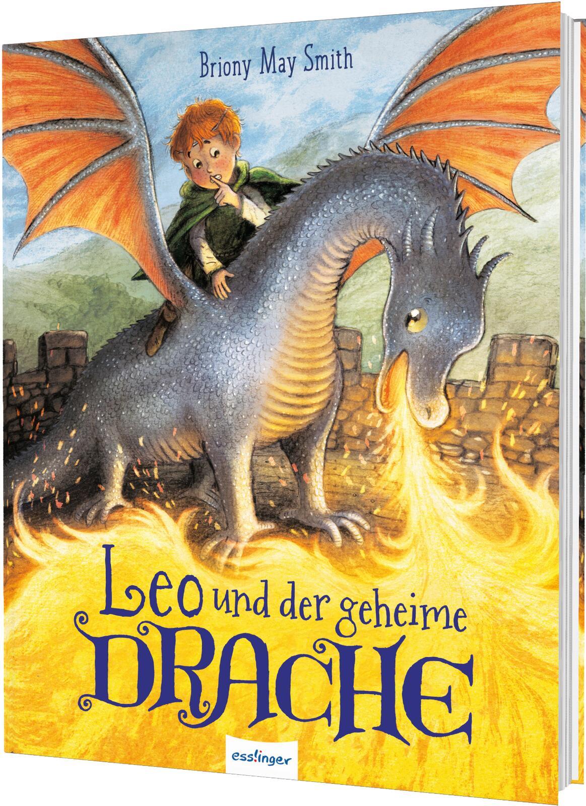 Vorderes Coverbild Leo und der geheime Drache
