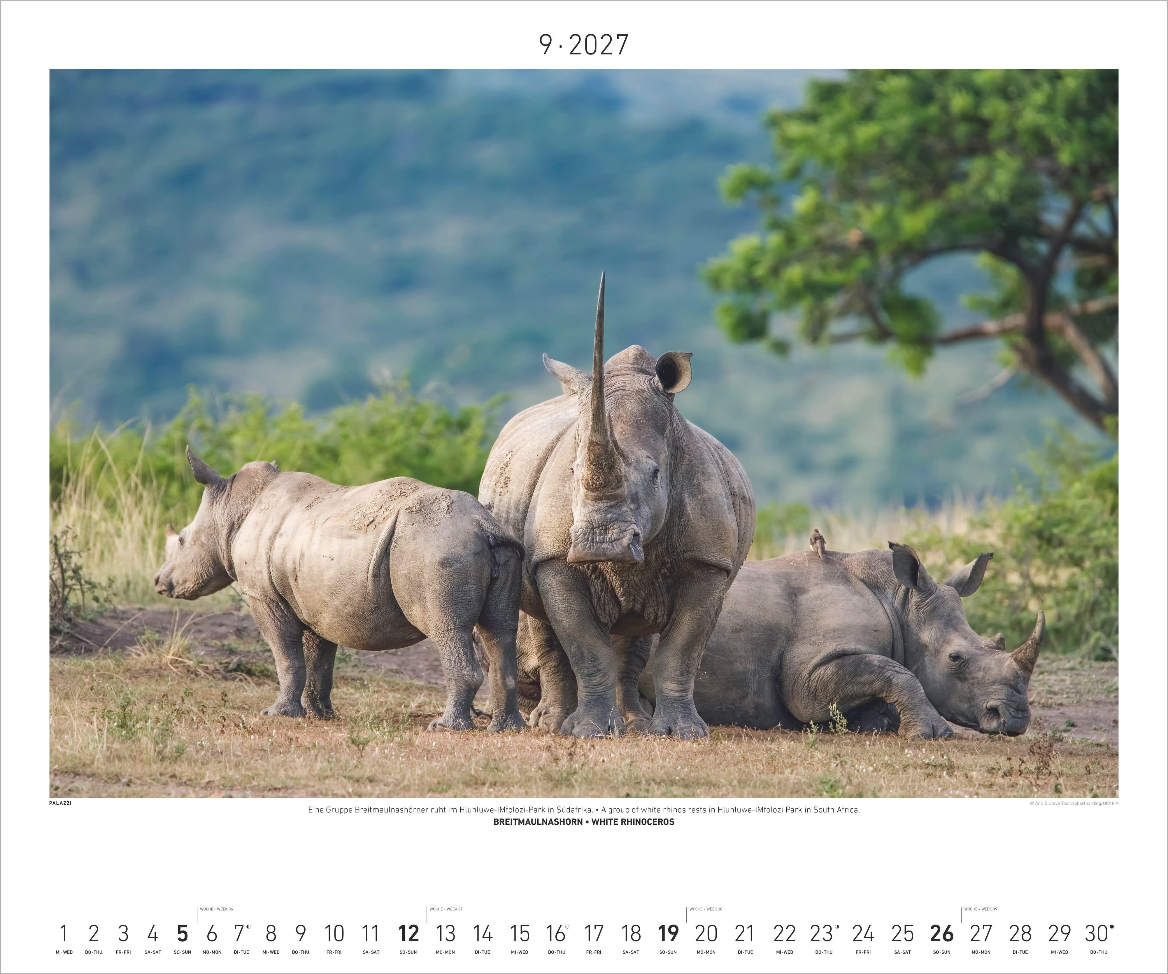 Beispielinhalt (Bild) Hautnah - Afrikas Wildnis 2027