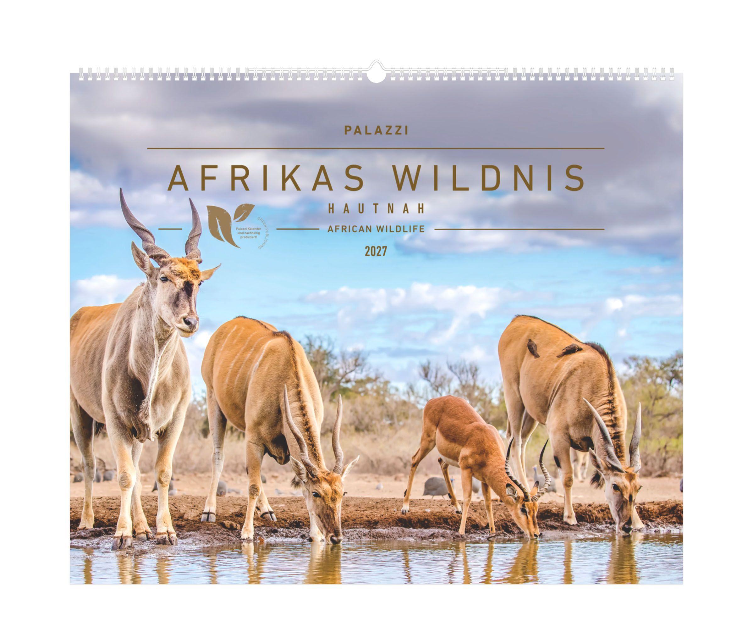 Vorderes Coverbild Hautnah - Afrikas Wildnis 2027