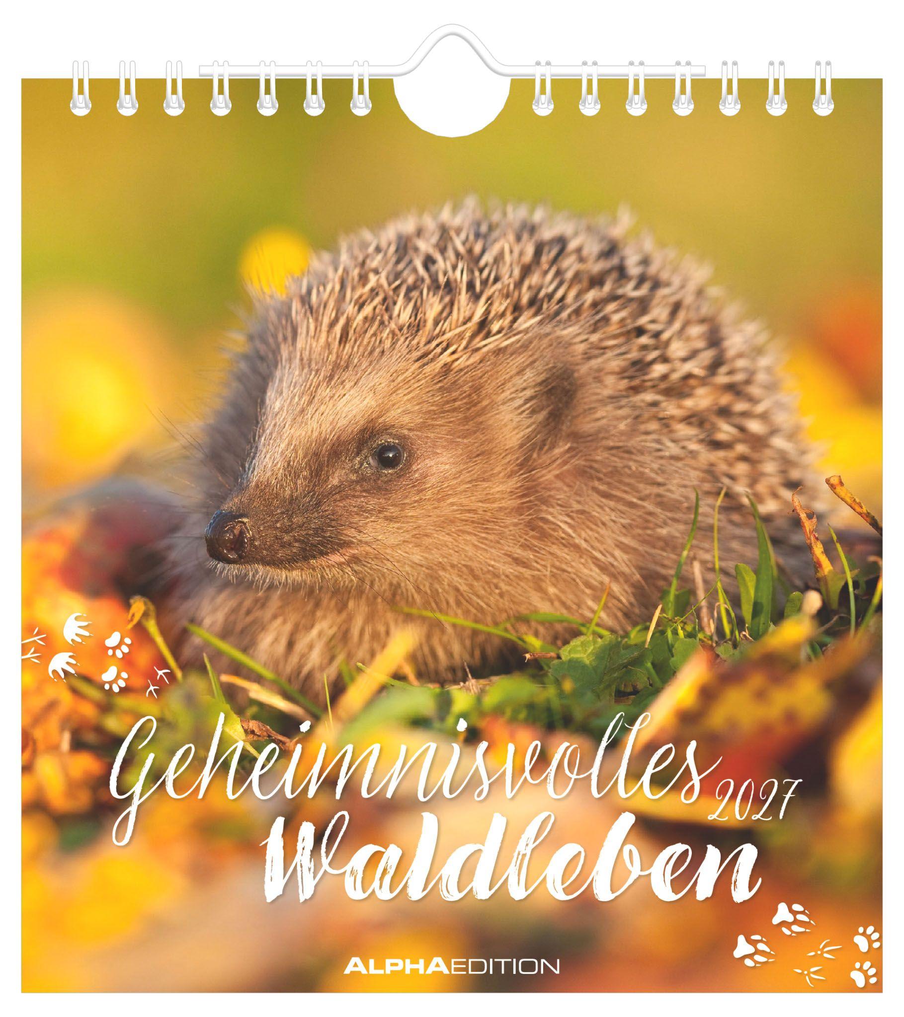 Vorderes Coverbild Geheimnisvolles Waldleben 2027