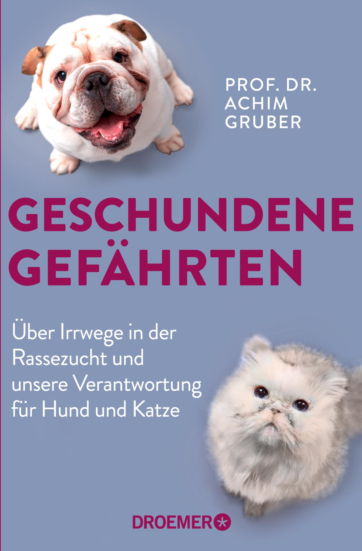 Vorderes Coverbild Geschundene Gefährten