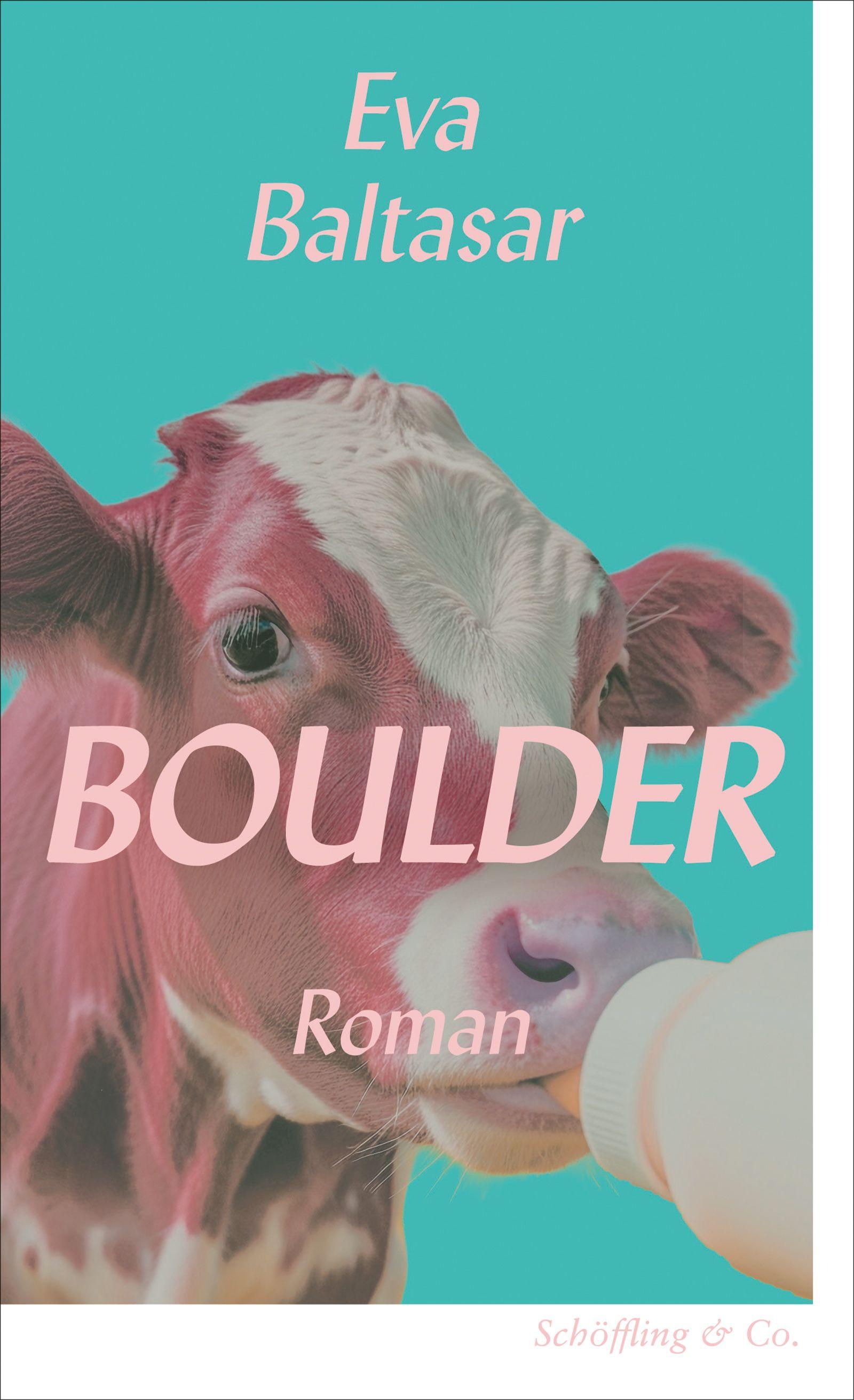 Vorderes Coverbild Boulder