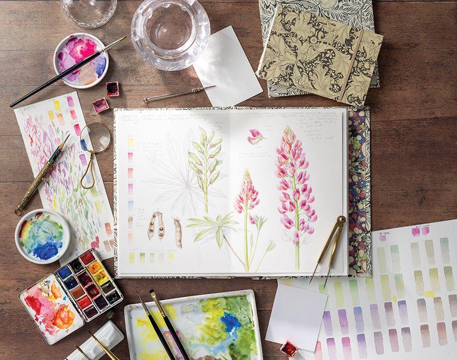 Beispielinhalt (Bild) Sketching Nature