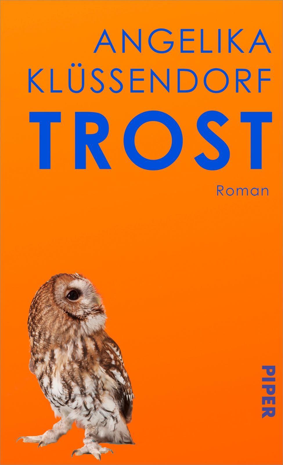 Vorderes Coverbild Trost