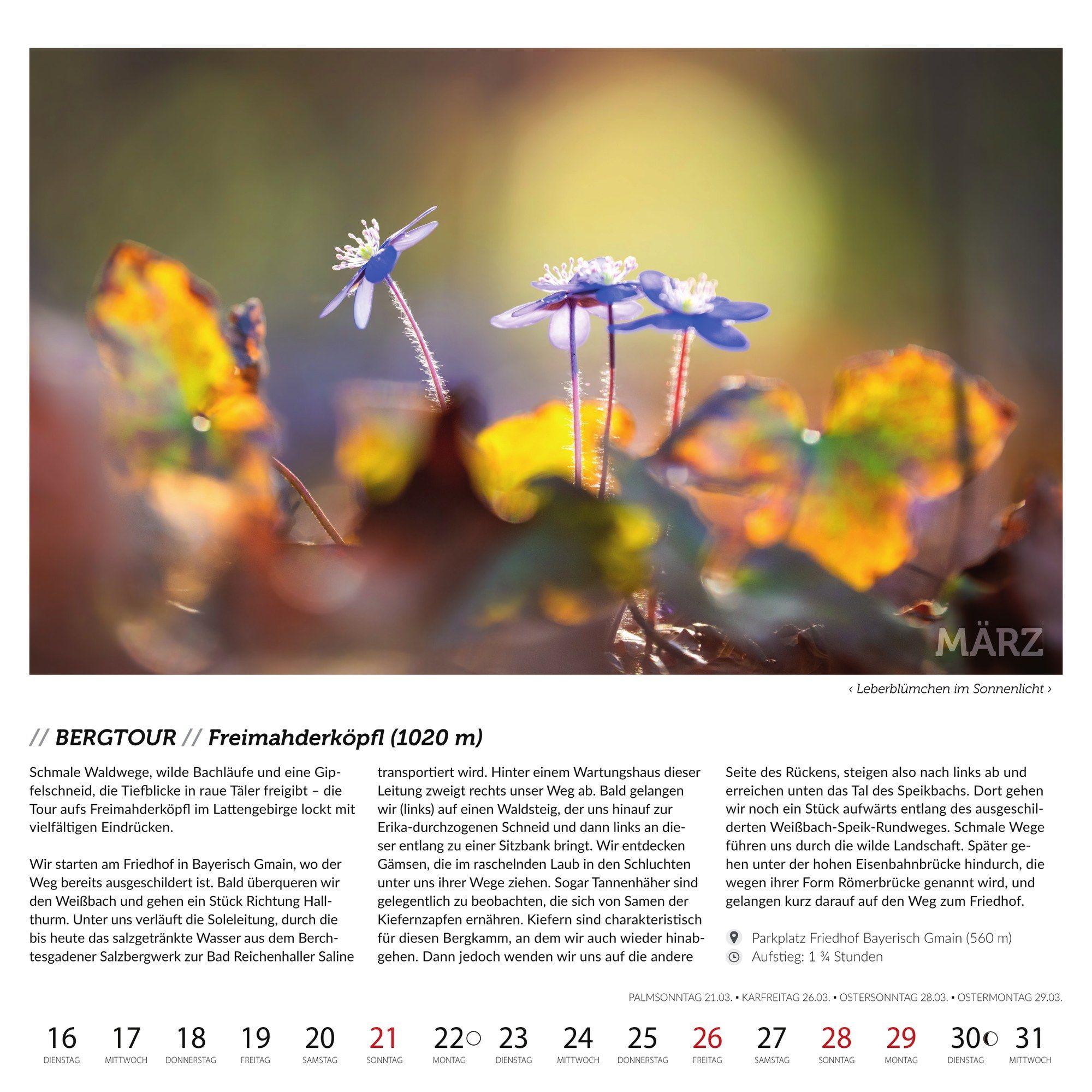 Beispielinhalt (Bild) Berchtesgadener Bergsteigerkalender 2027