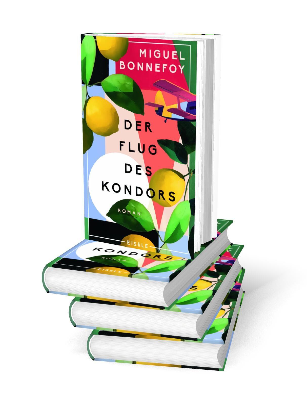 Beispielinhalt (Bild) Der Flug des Kondors