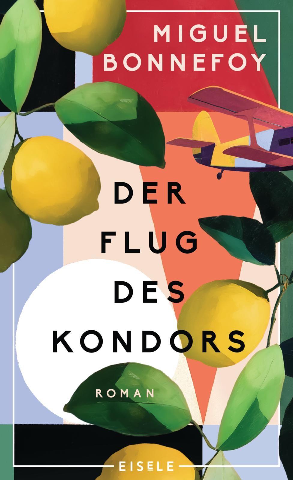 Vorderes Coverbild Der Flug des Kondors