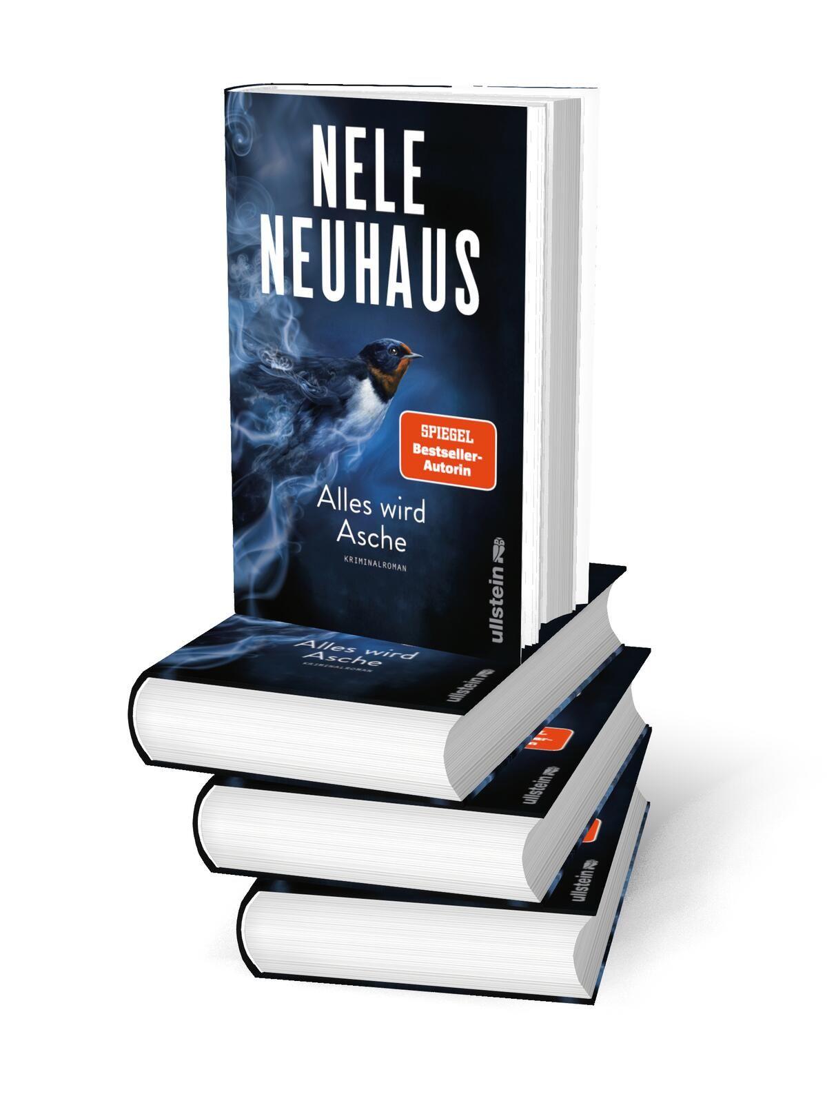 Beispielinhalt (Bild) Alles wird Asche