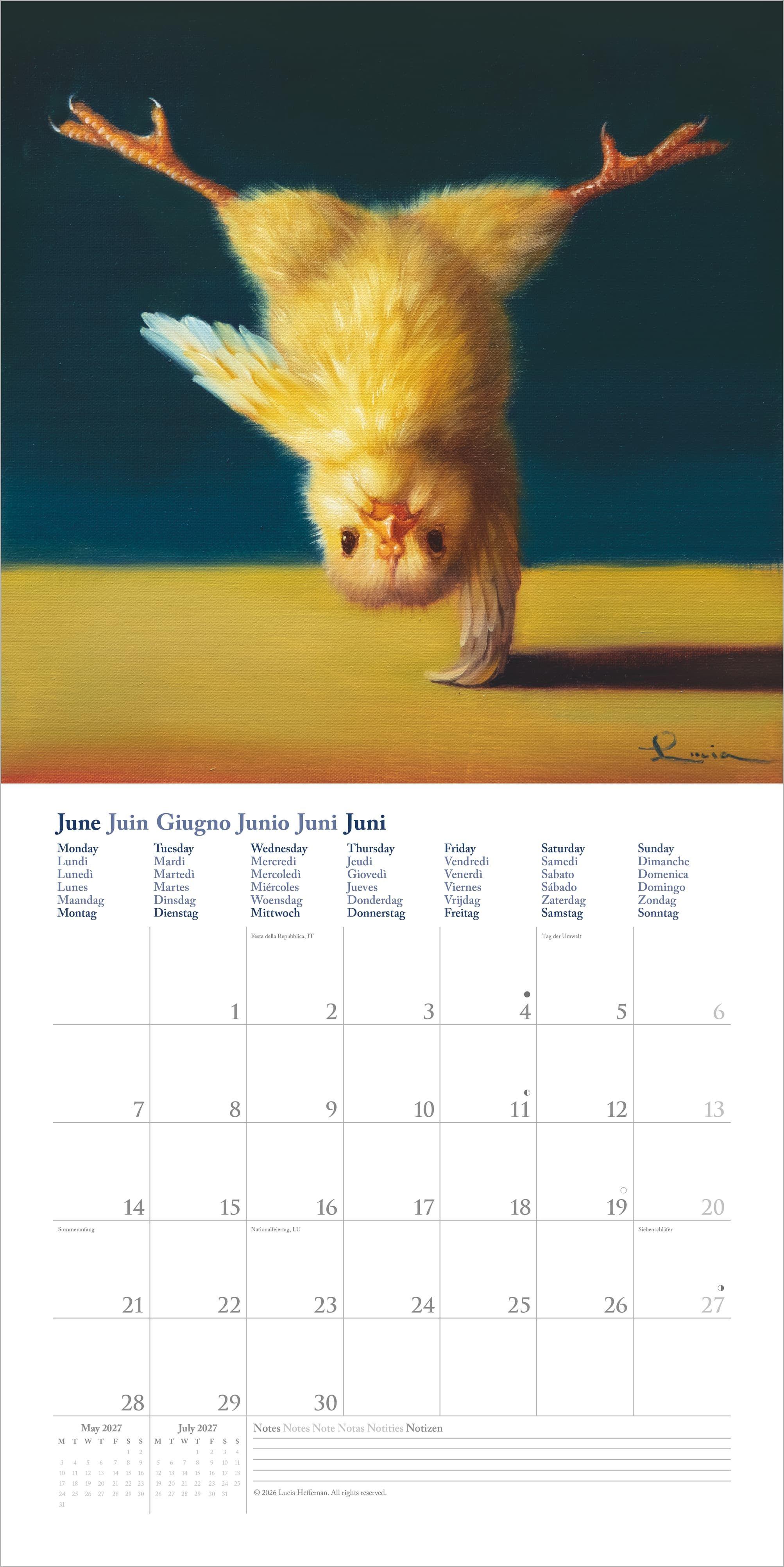 Beispielinhalt (Bild) Yoga Chicks 2027