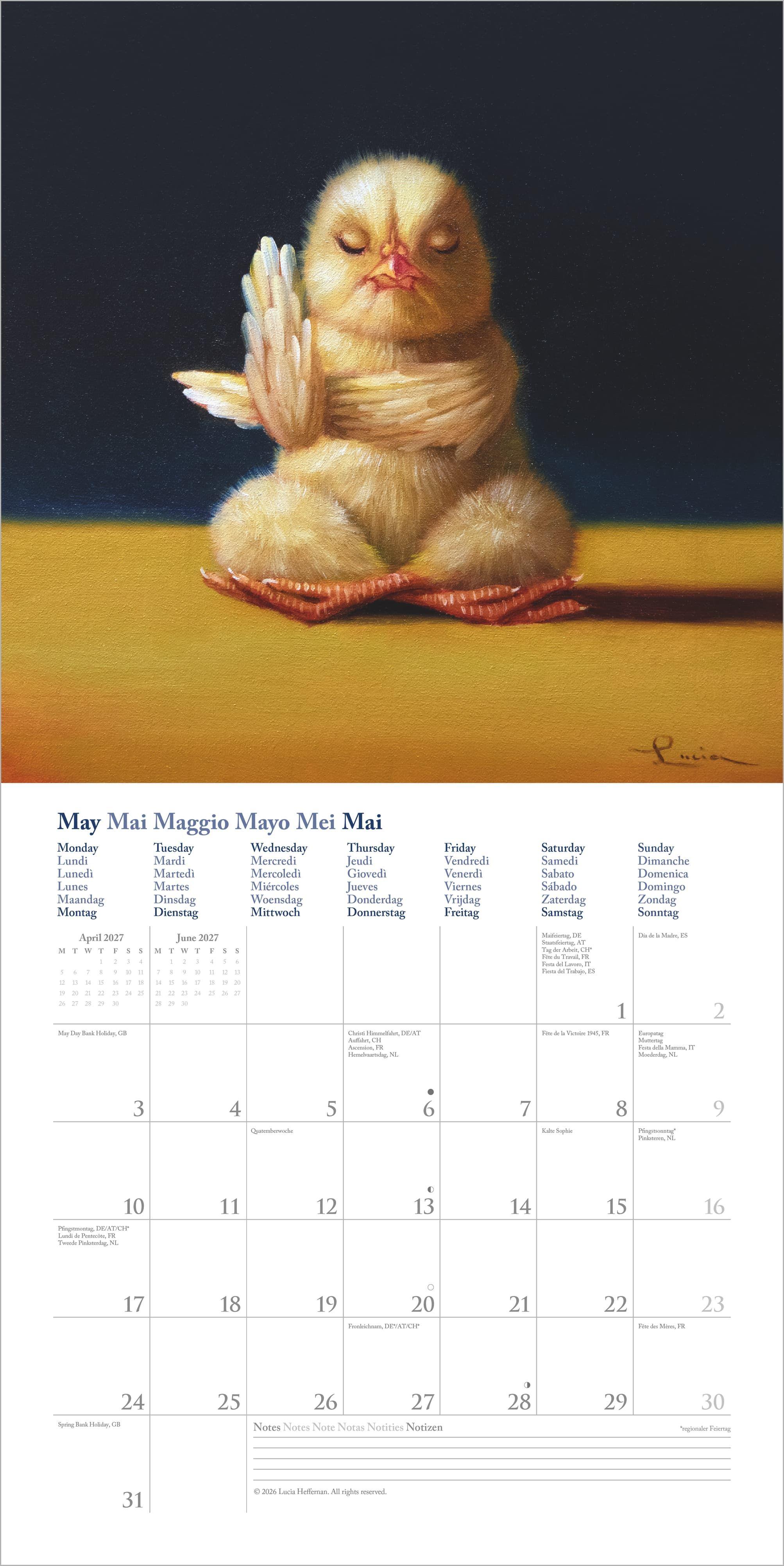 Beispielinhalt (Bild) Yoga Chicks 2027