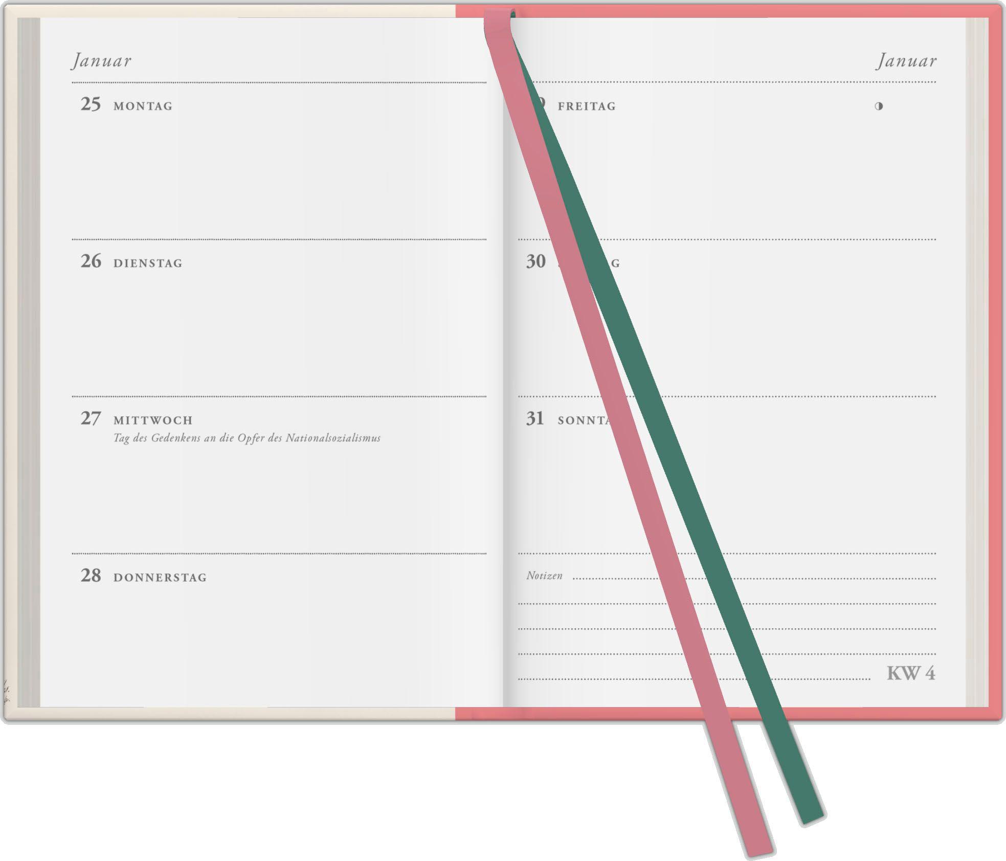 Beispielinhalt (Bild) Redoutes Rosen 2027