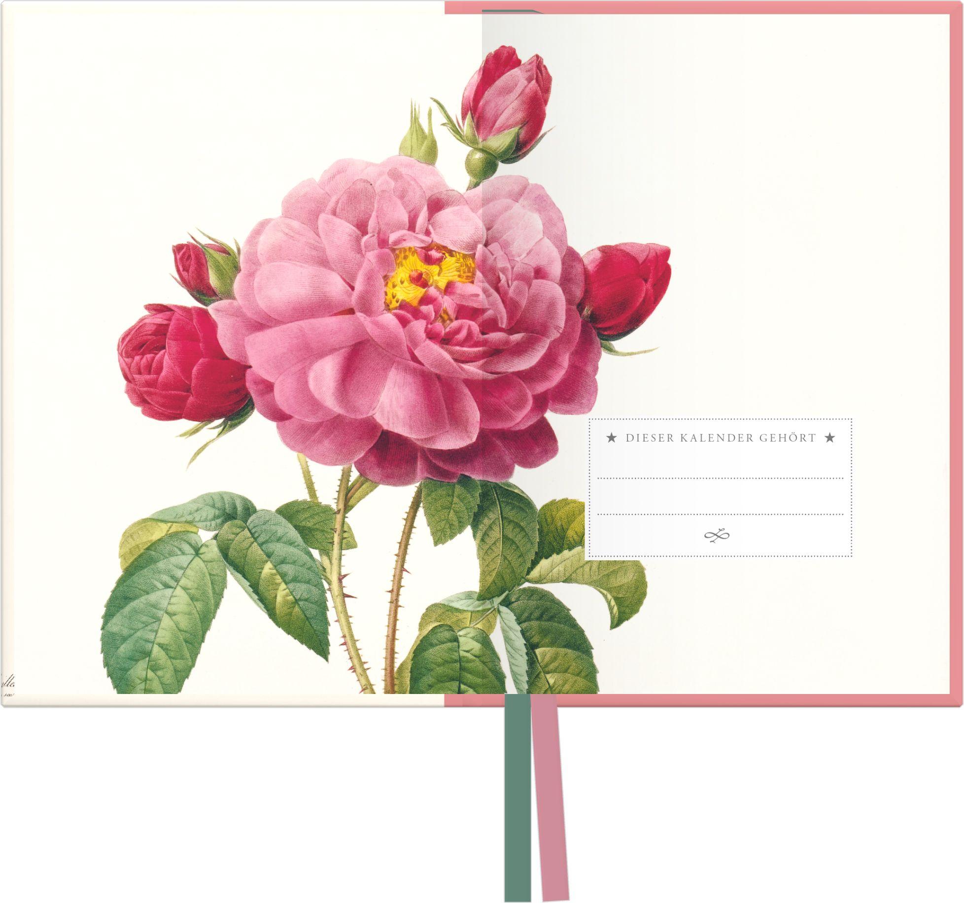 Beispielinhalt (Bild) Redoutes Rosen 2027