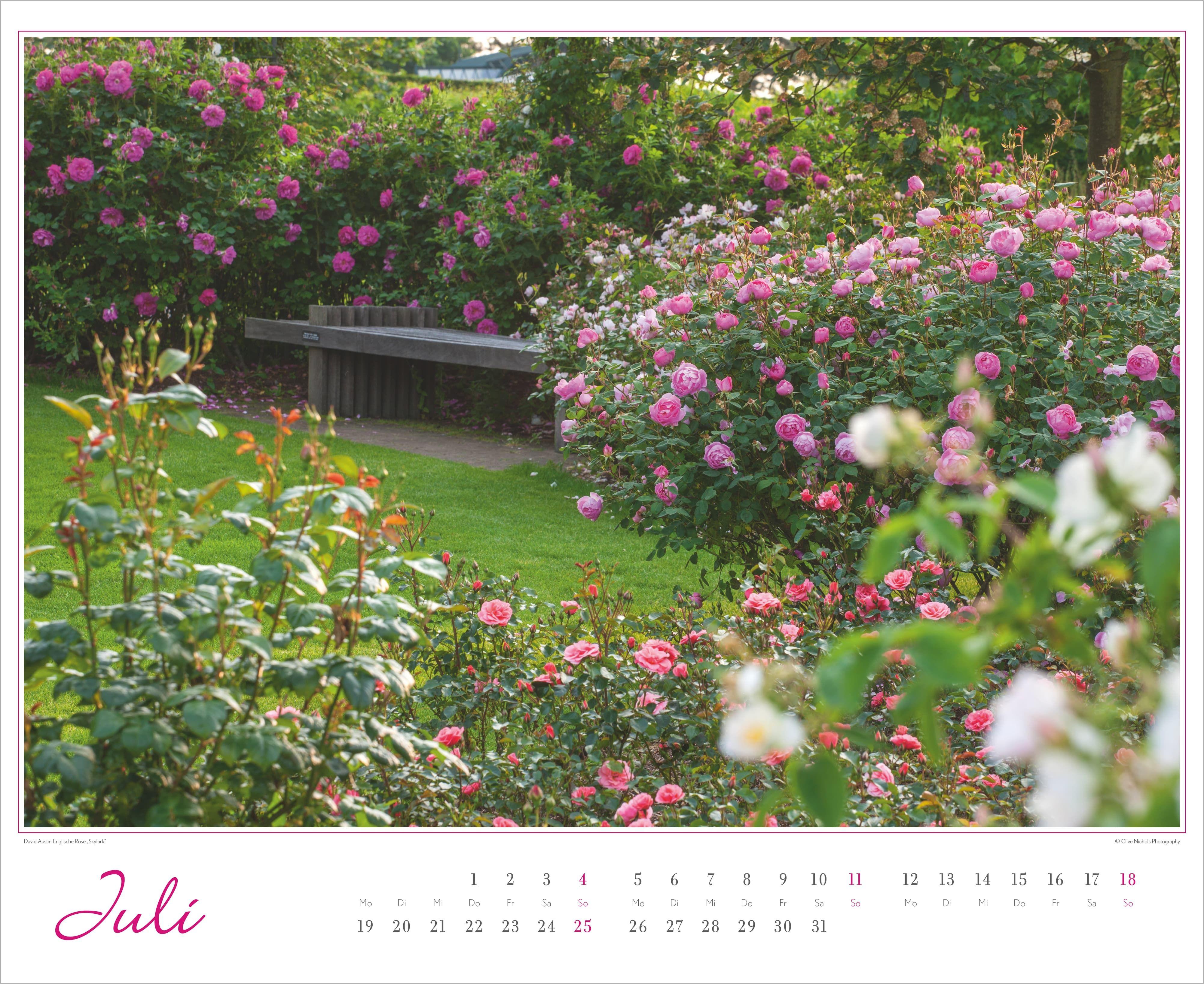 Beispielinhalt (Bild) Im Rosengarten 2027