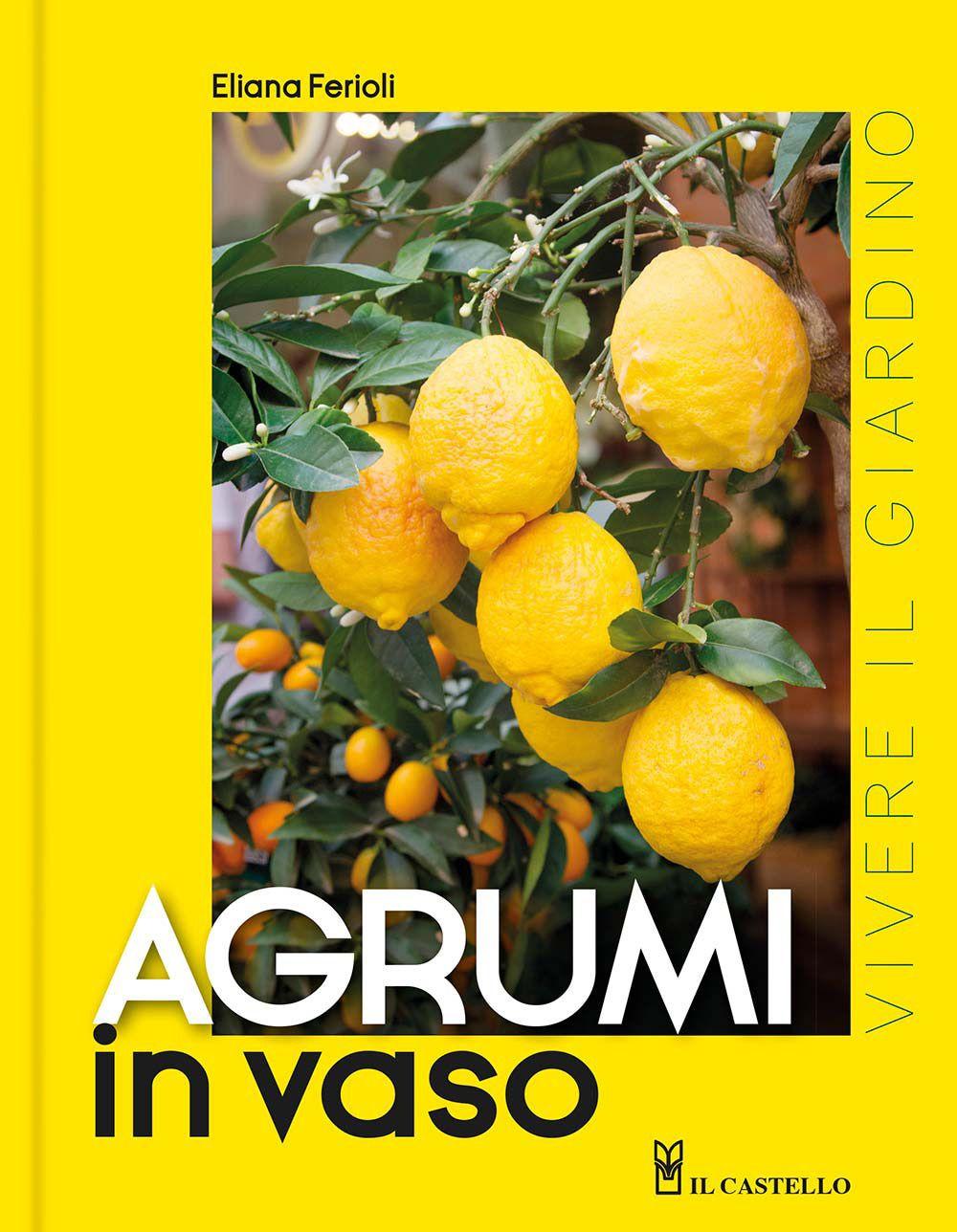 Vorderes Coverbild Agrumi in vaso