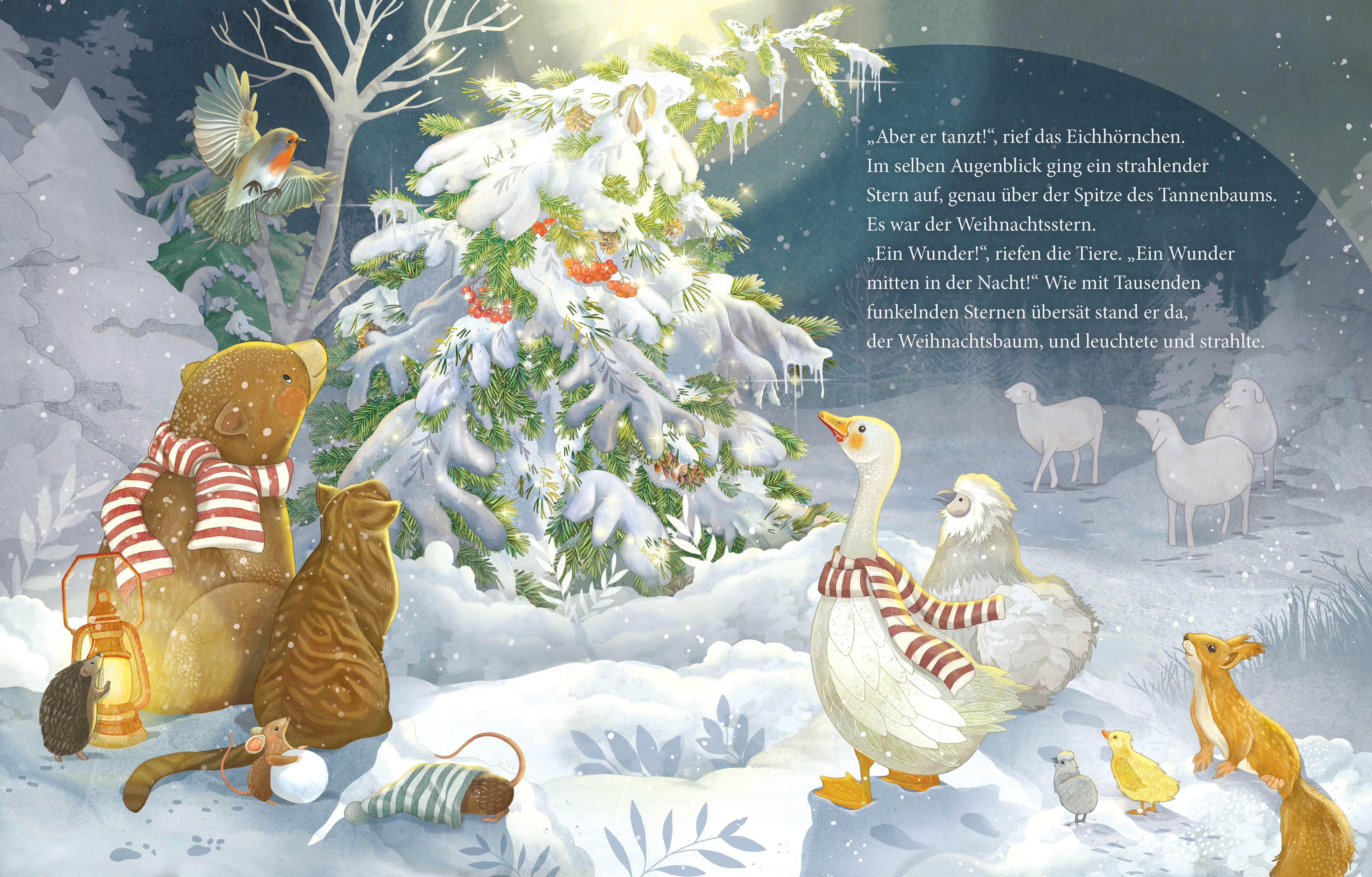 Beispielinhalt (Bild) Weihnachten mit dem kleinen Bären