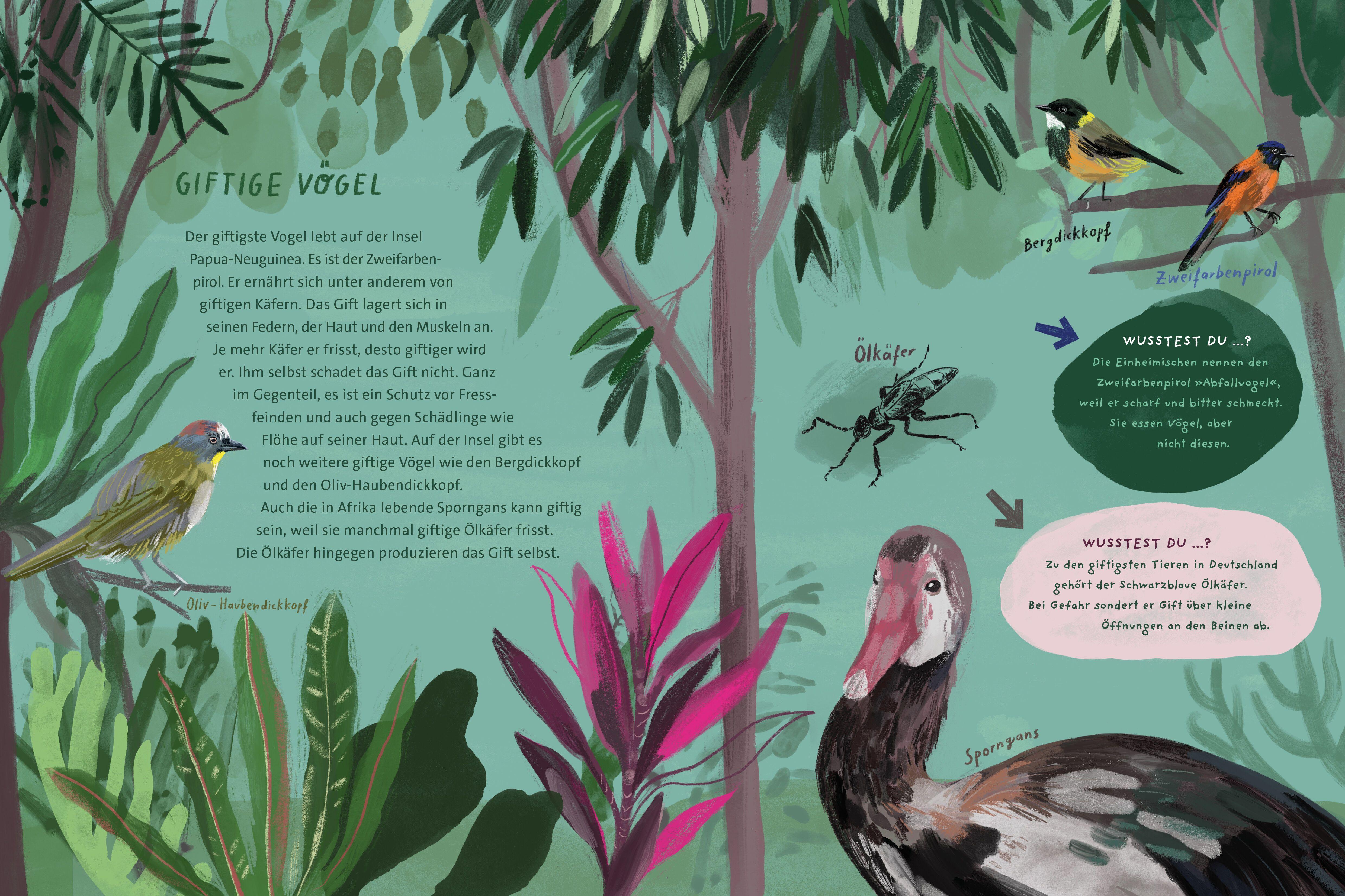 Beispielinhalt (Bild) Richtig giftig -