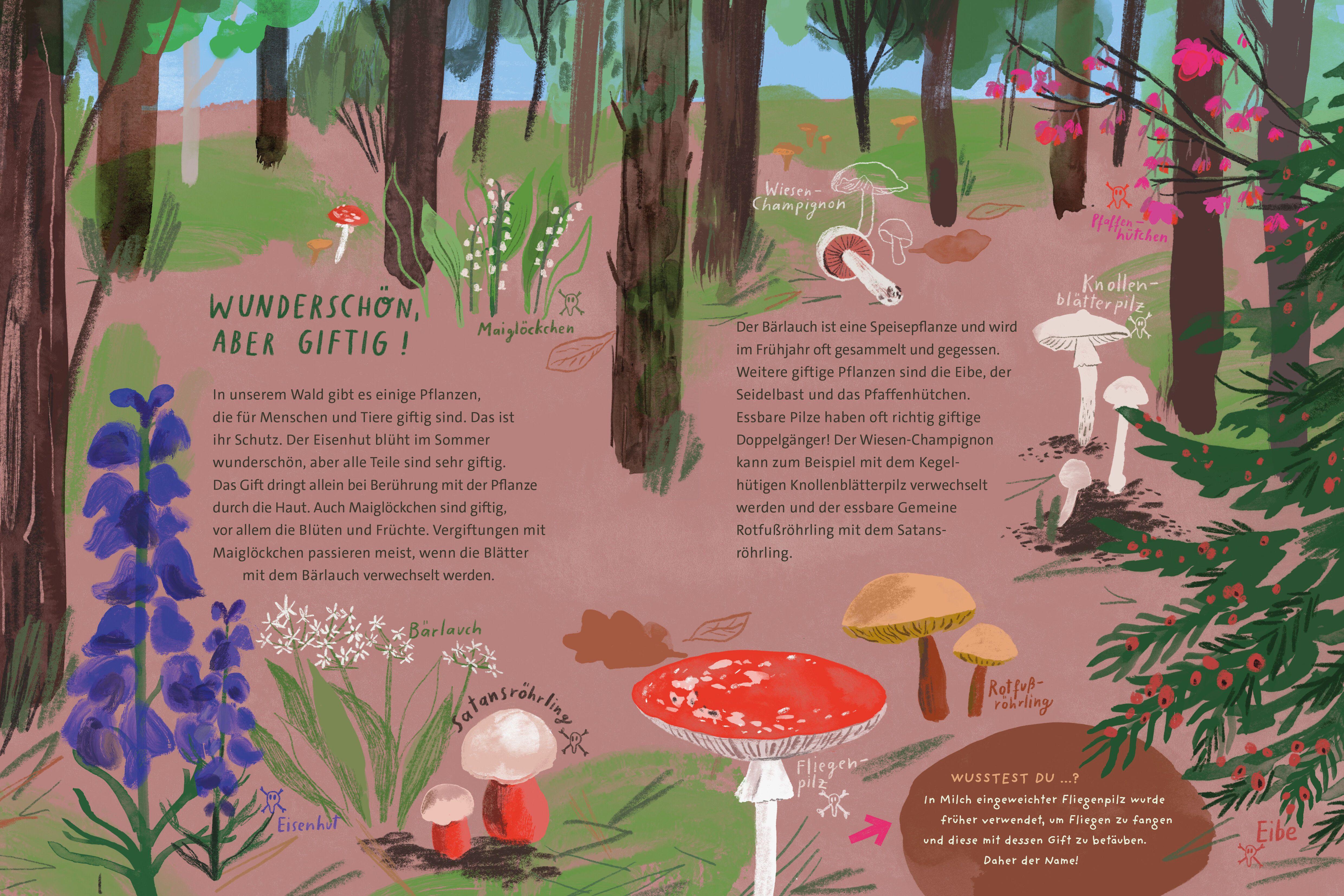Beispielinhalt (Bild) Richtig giftig -