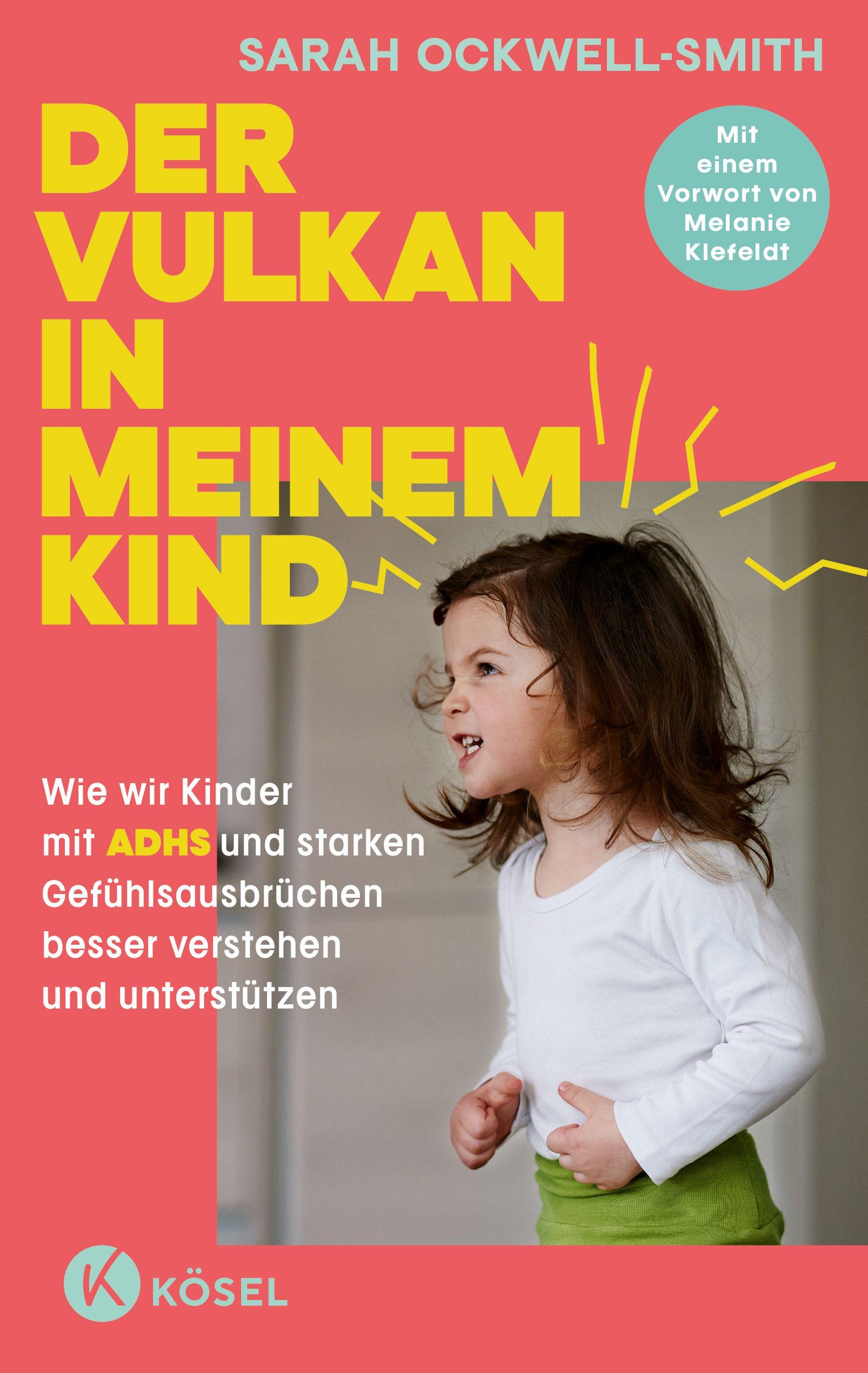 Vorderes Coverbild Der Vulkan in meinem Kind