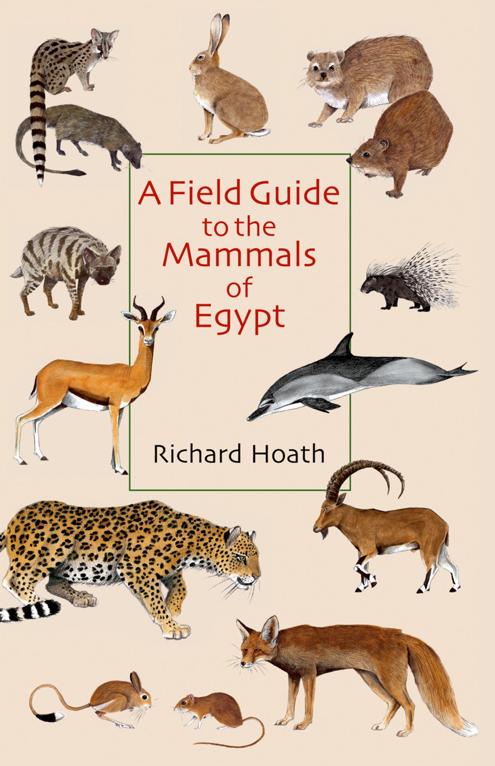 Vorderes Coverbild A Field Guide to the Mammals of Egypt