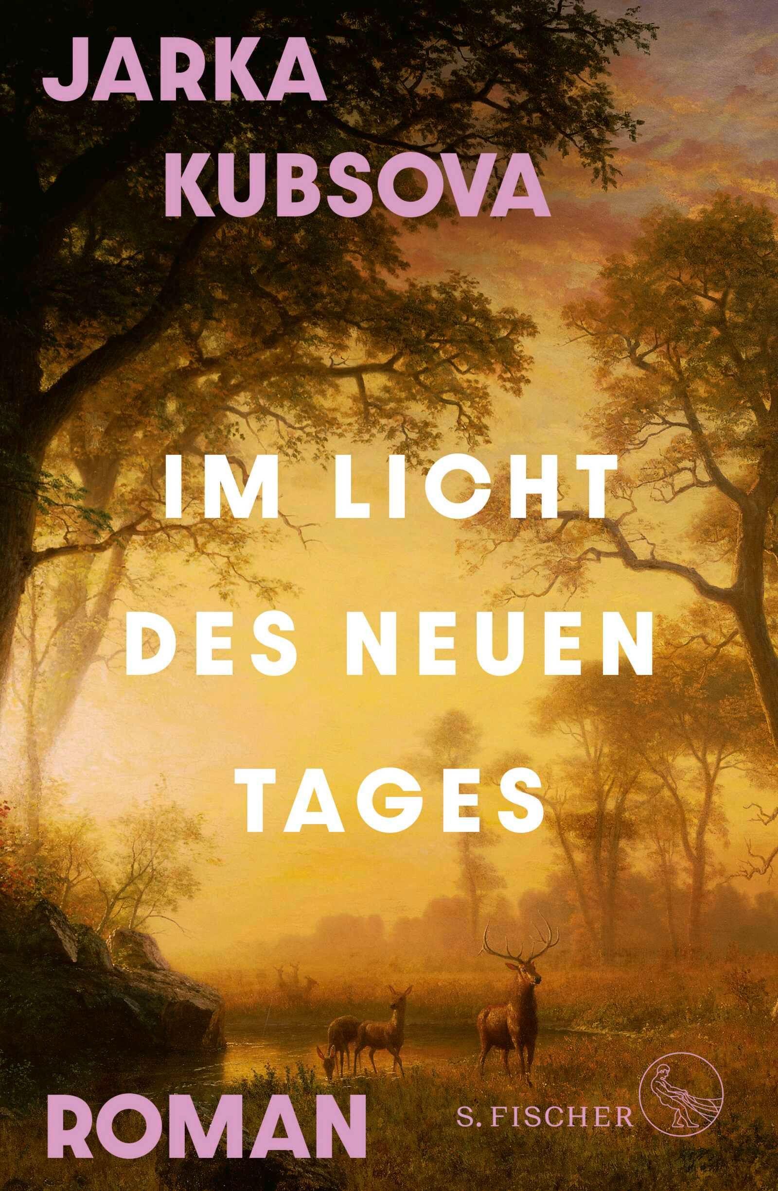Vorderes Coverbild Im Licht des neuen Tages