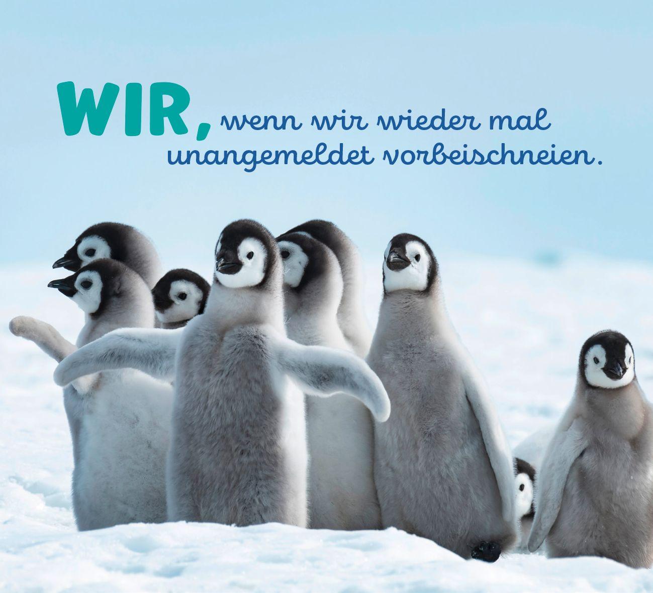 Beispielinhalt (Bild) Tierisch happy jeden Tag