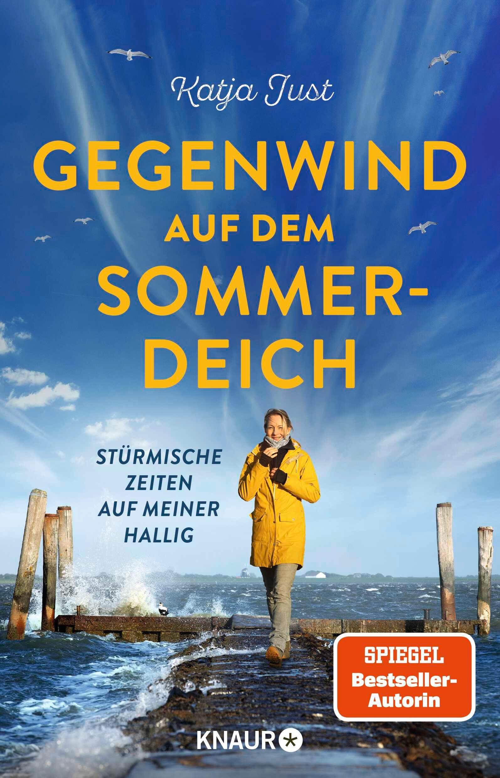 Vorderes Coverbild Gegenwind auf dem Sommerdeich