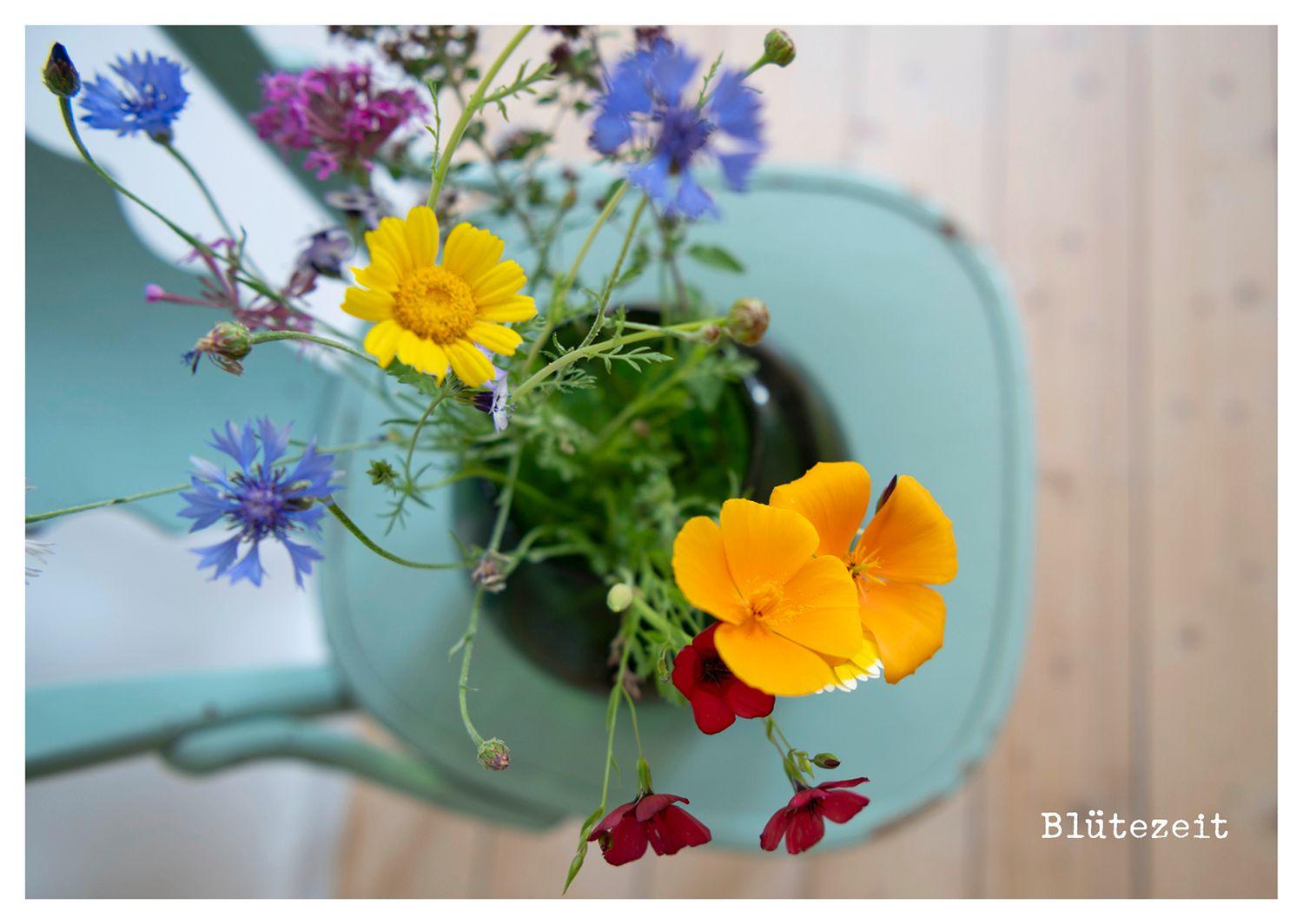 Beispielinhalt (Bild) von Herzen - Postkartenbuch